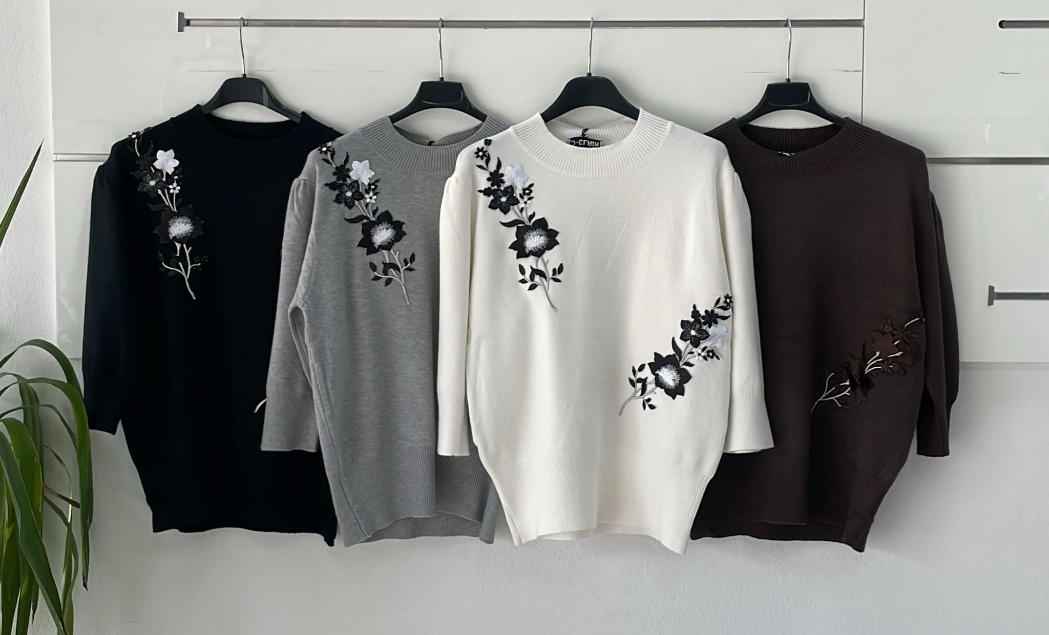 Фото Joie Clair (J-Clair)