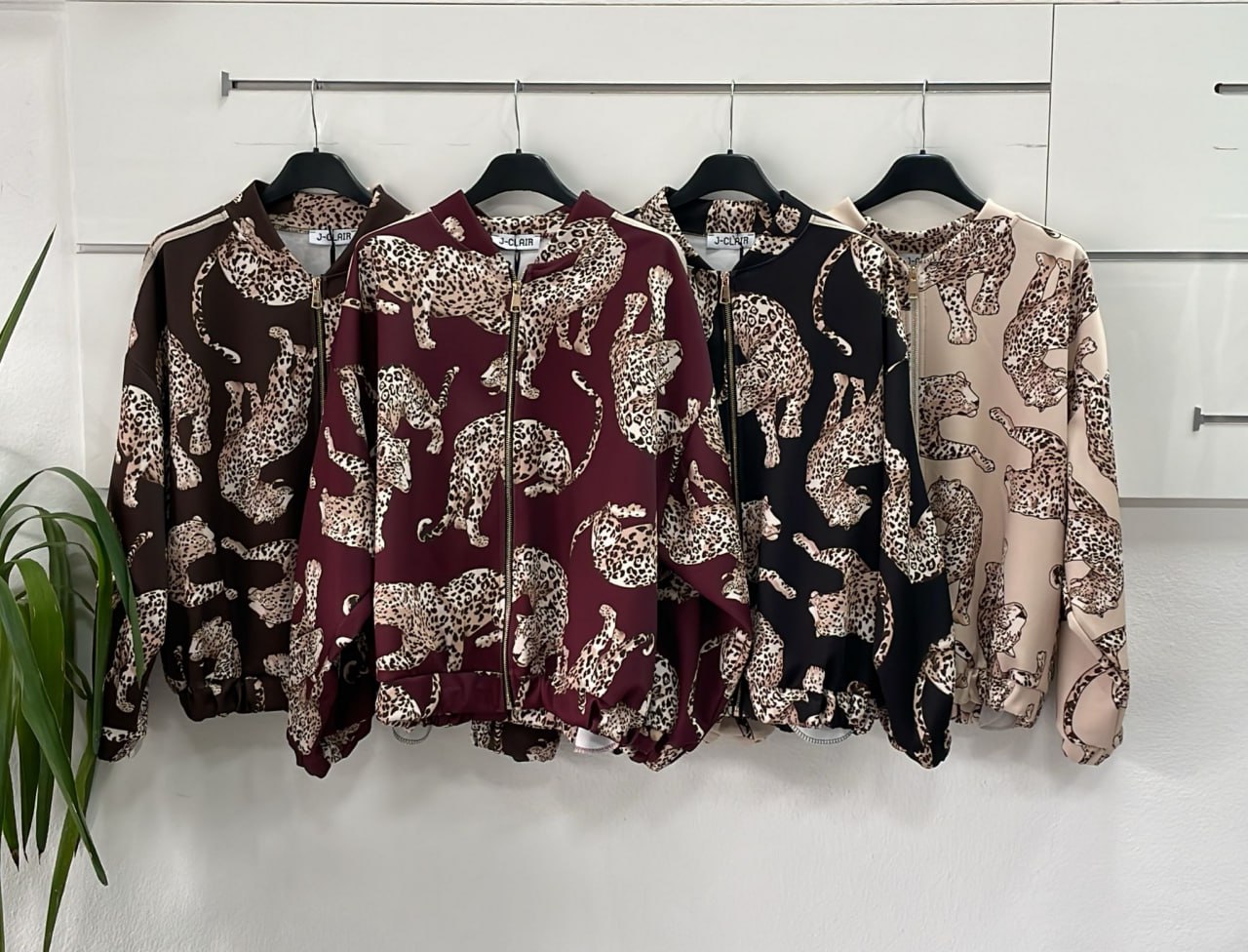 Фото Joie Clair (J-Clair)