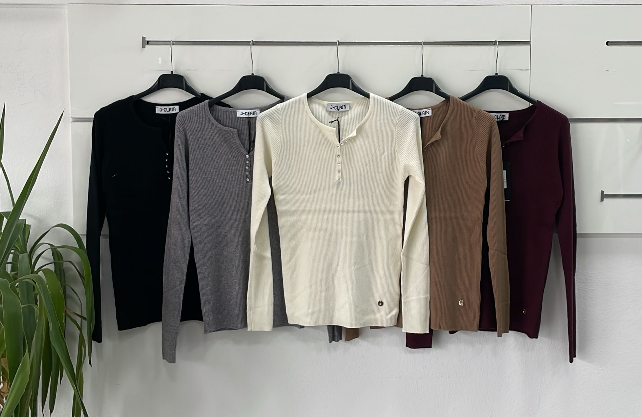 Фото Joie Clair (J-Clair)