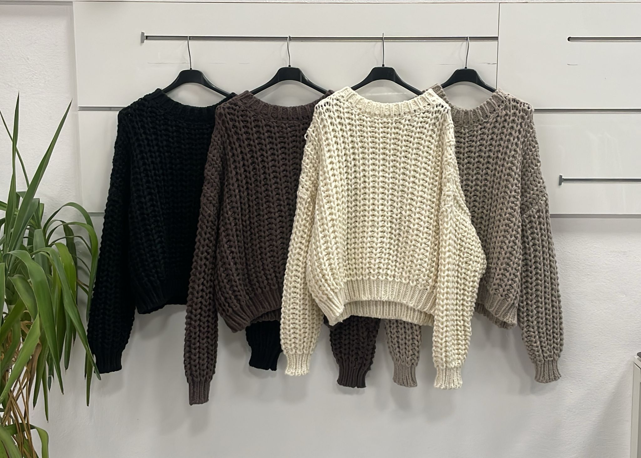 Joie Clair (J-Clair)