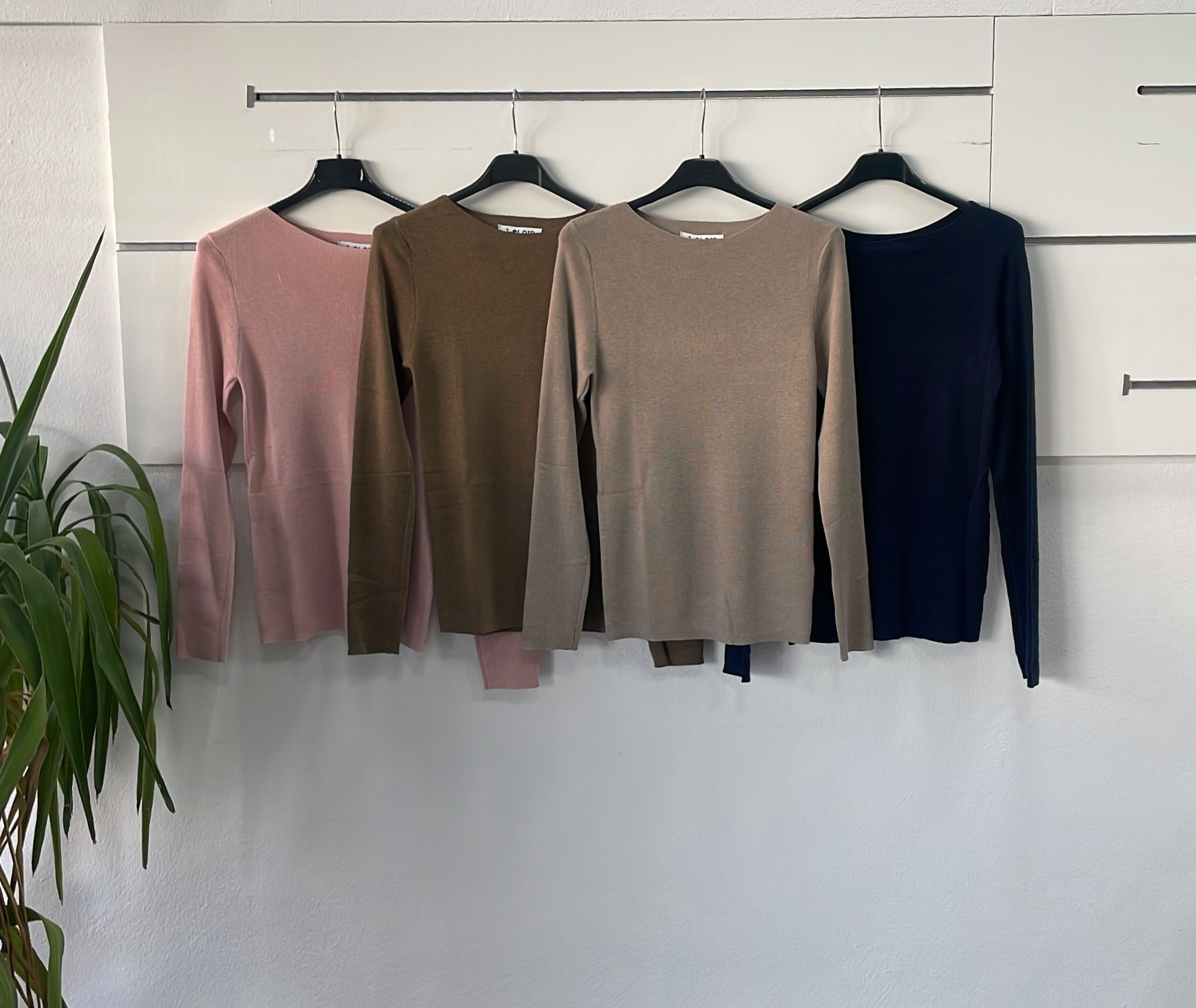 Joie Clair (J-Clair)