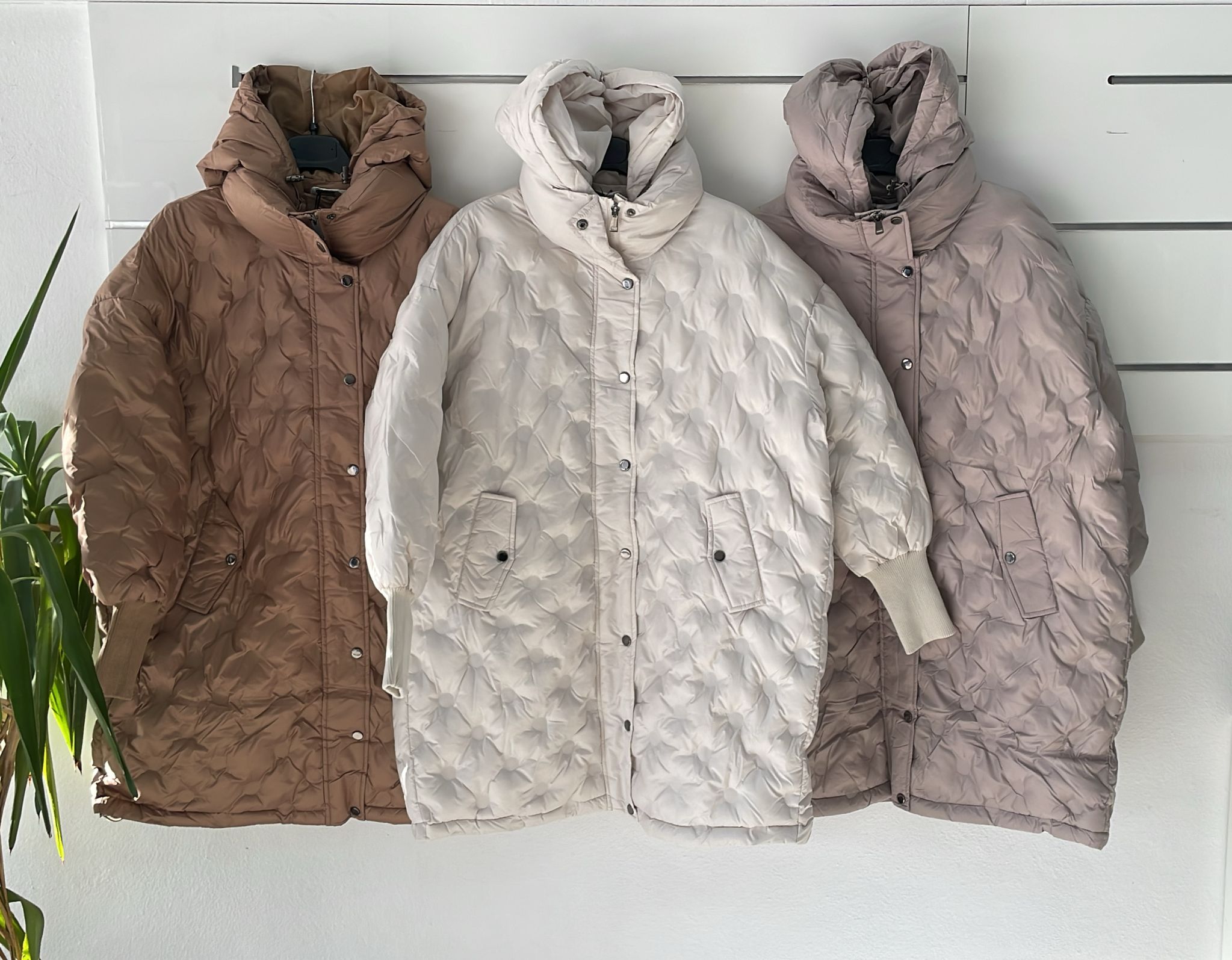 Фото Joie Clair (J-Clair)