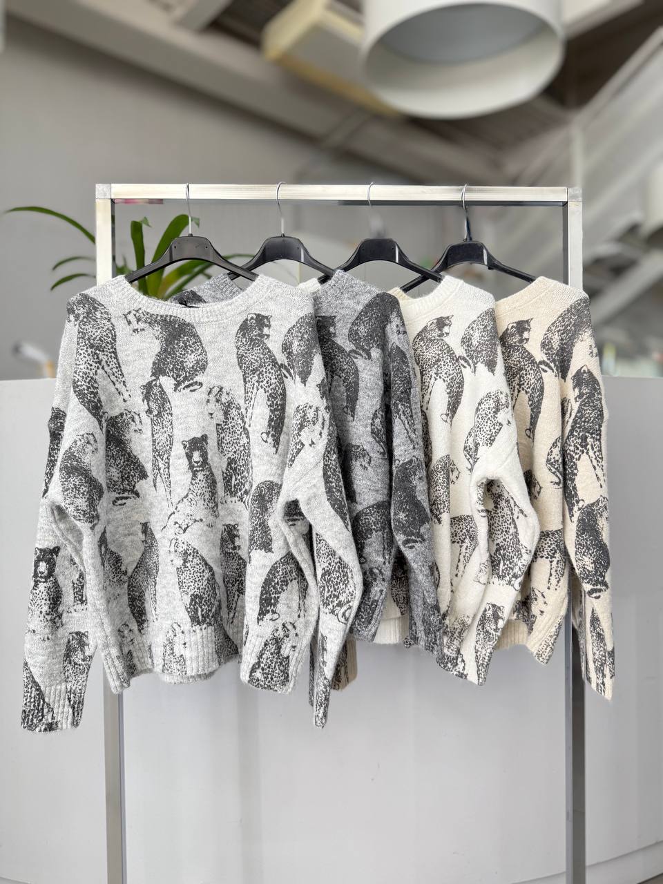 Joie Clair (J-Clair)