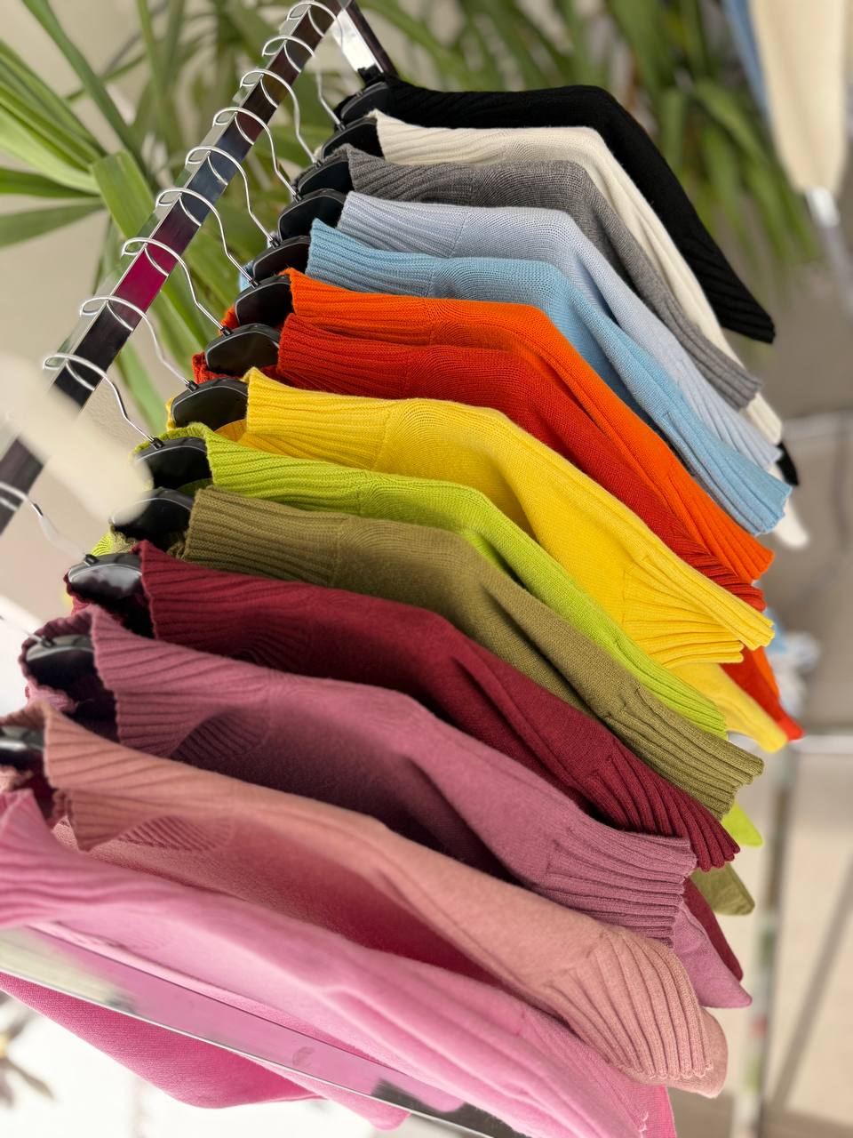 Joie Clair (J-Clair)