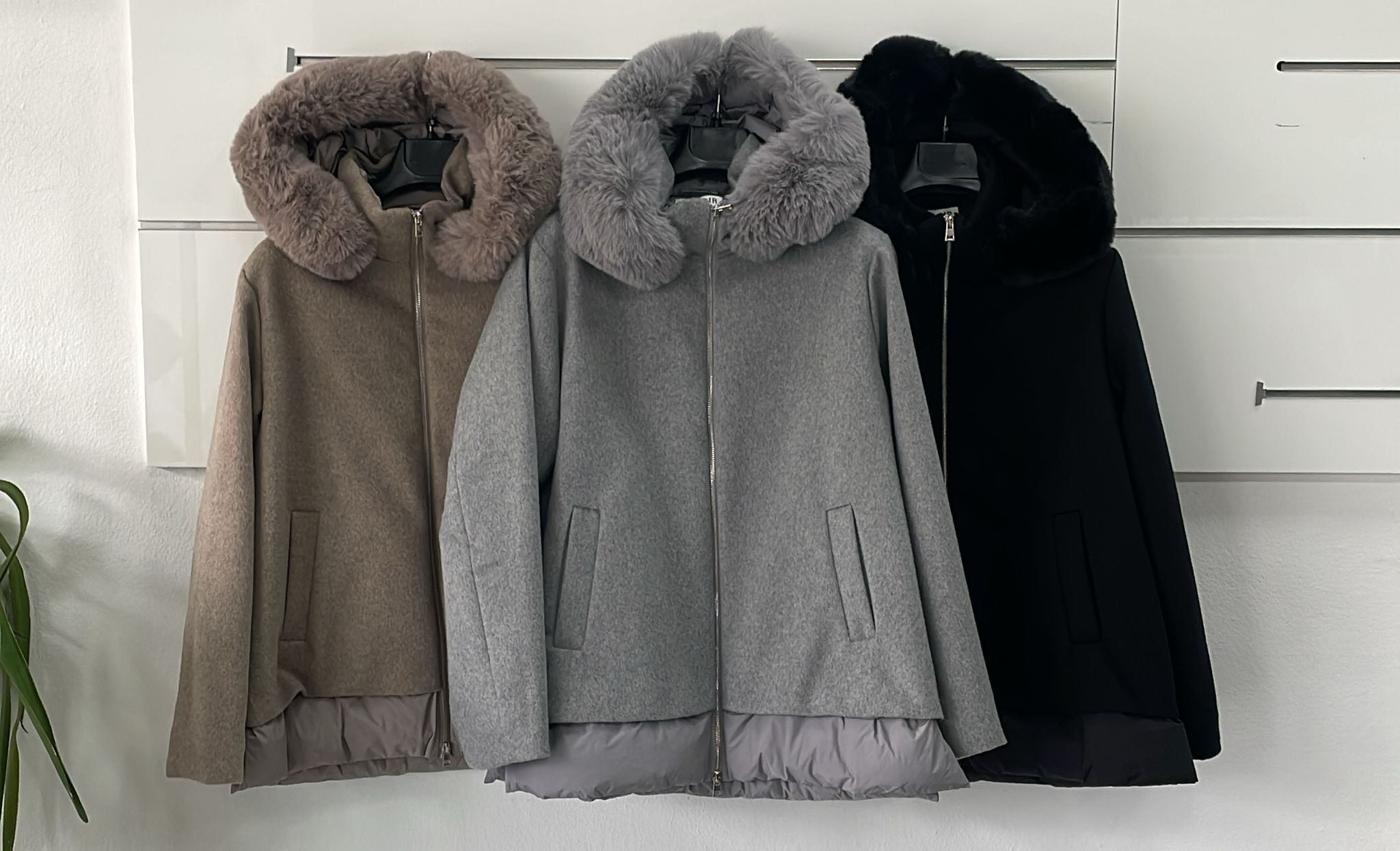 Joie Clair (J-Clair)