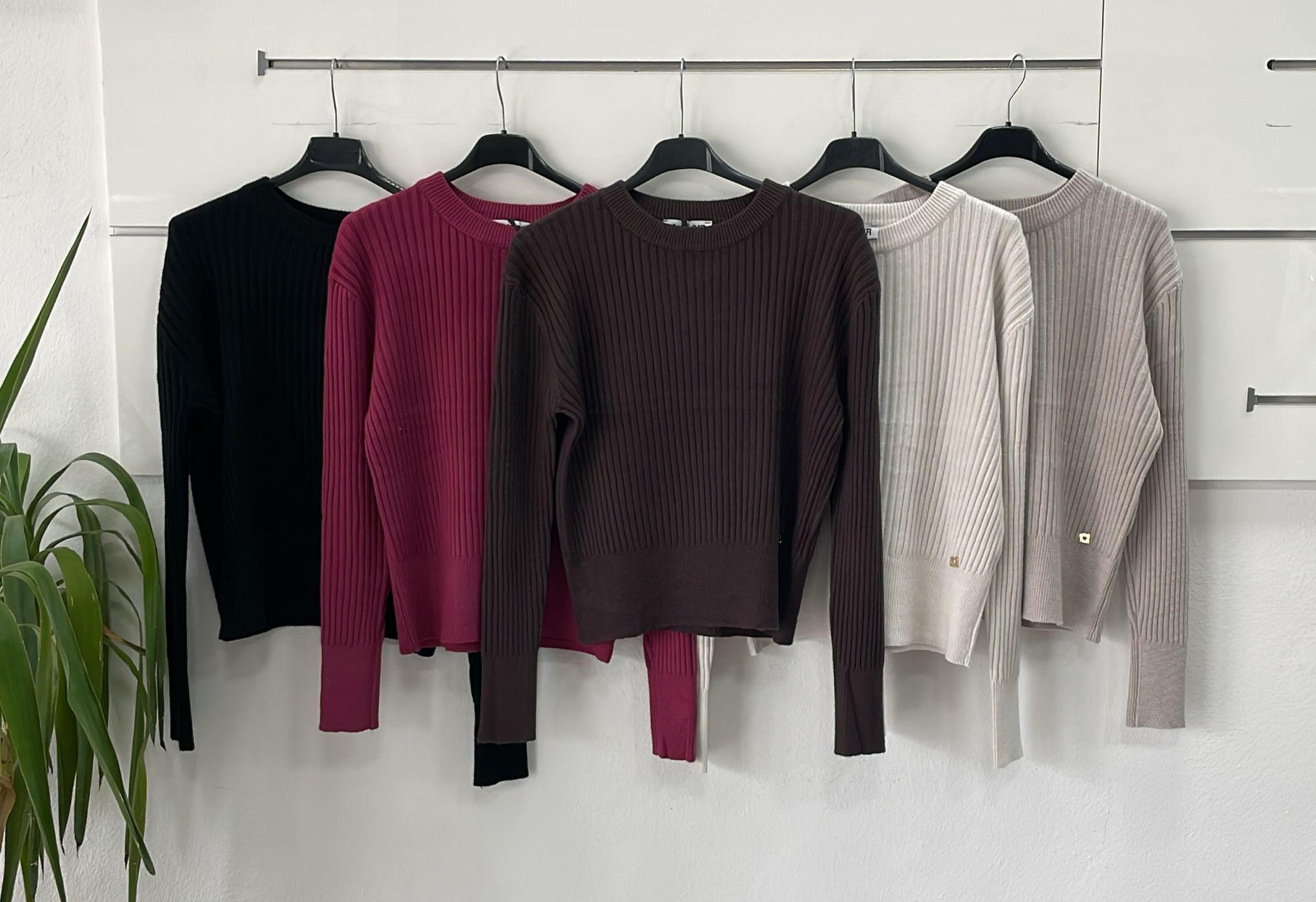 Joie Clair (J-Clair)