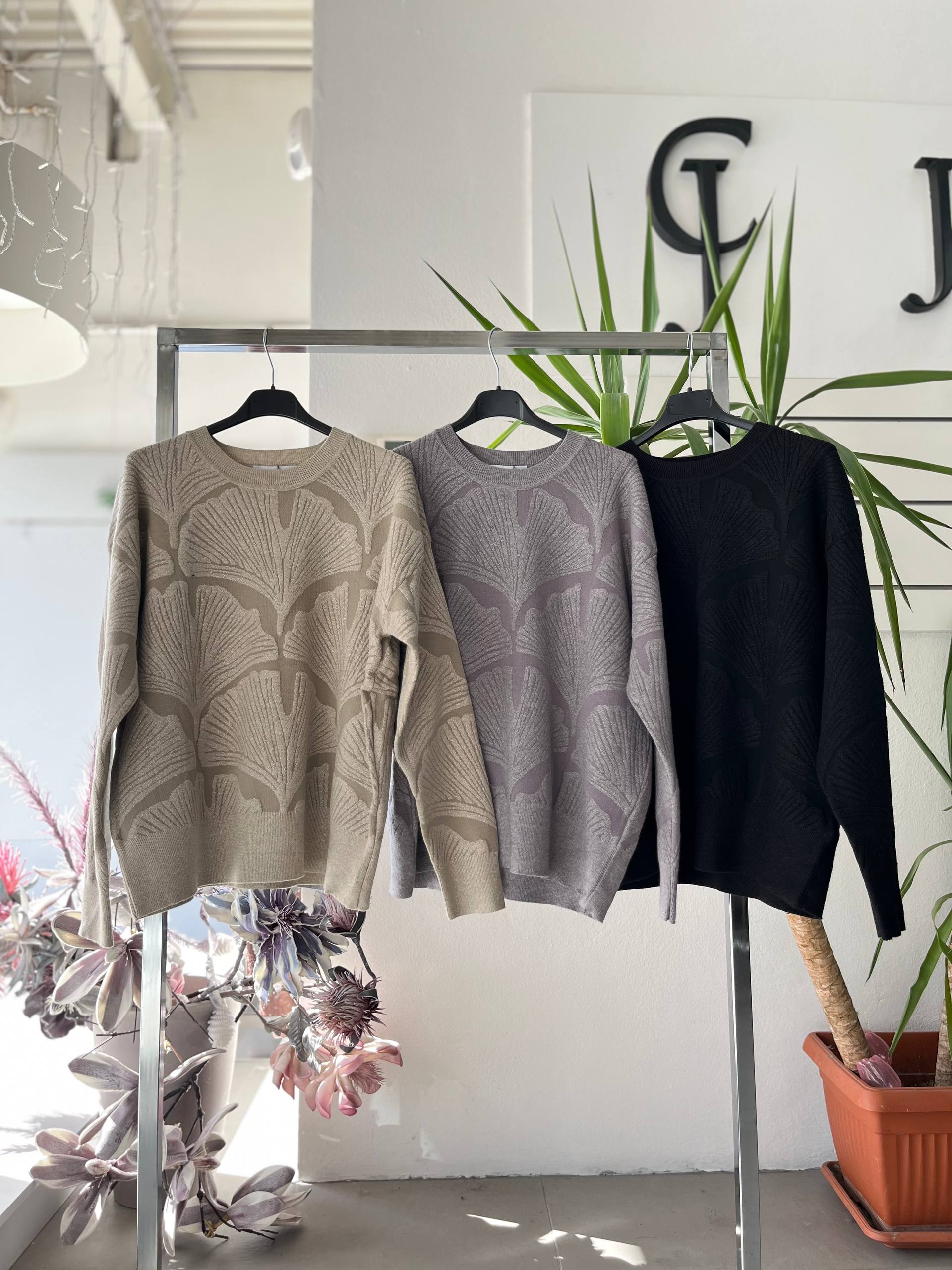 Фото Joie Clair (J-Clair)