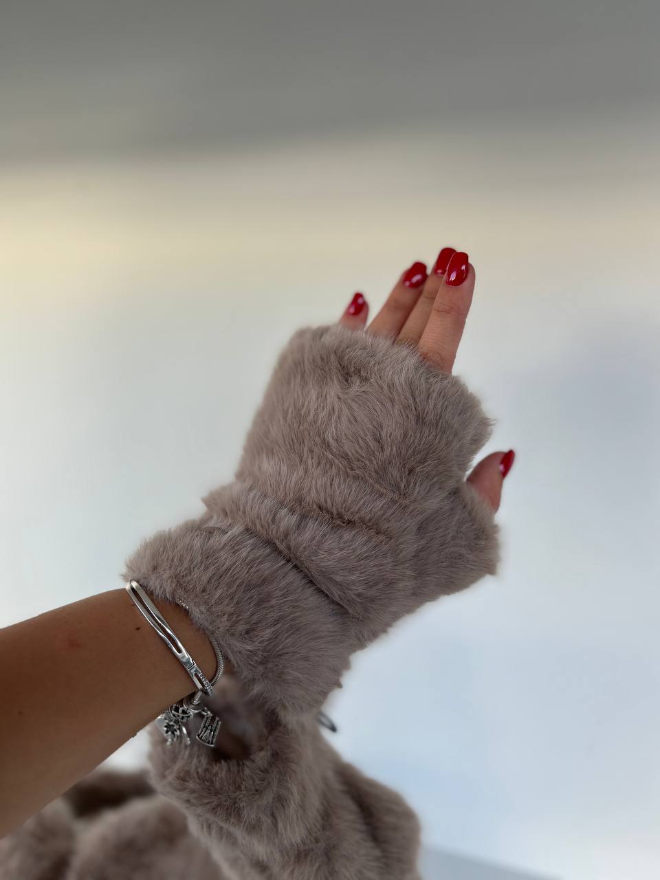 Фото Leather Country