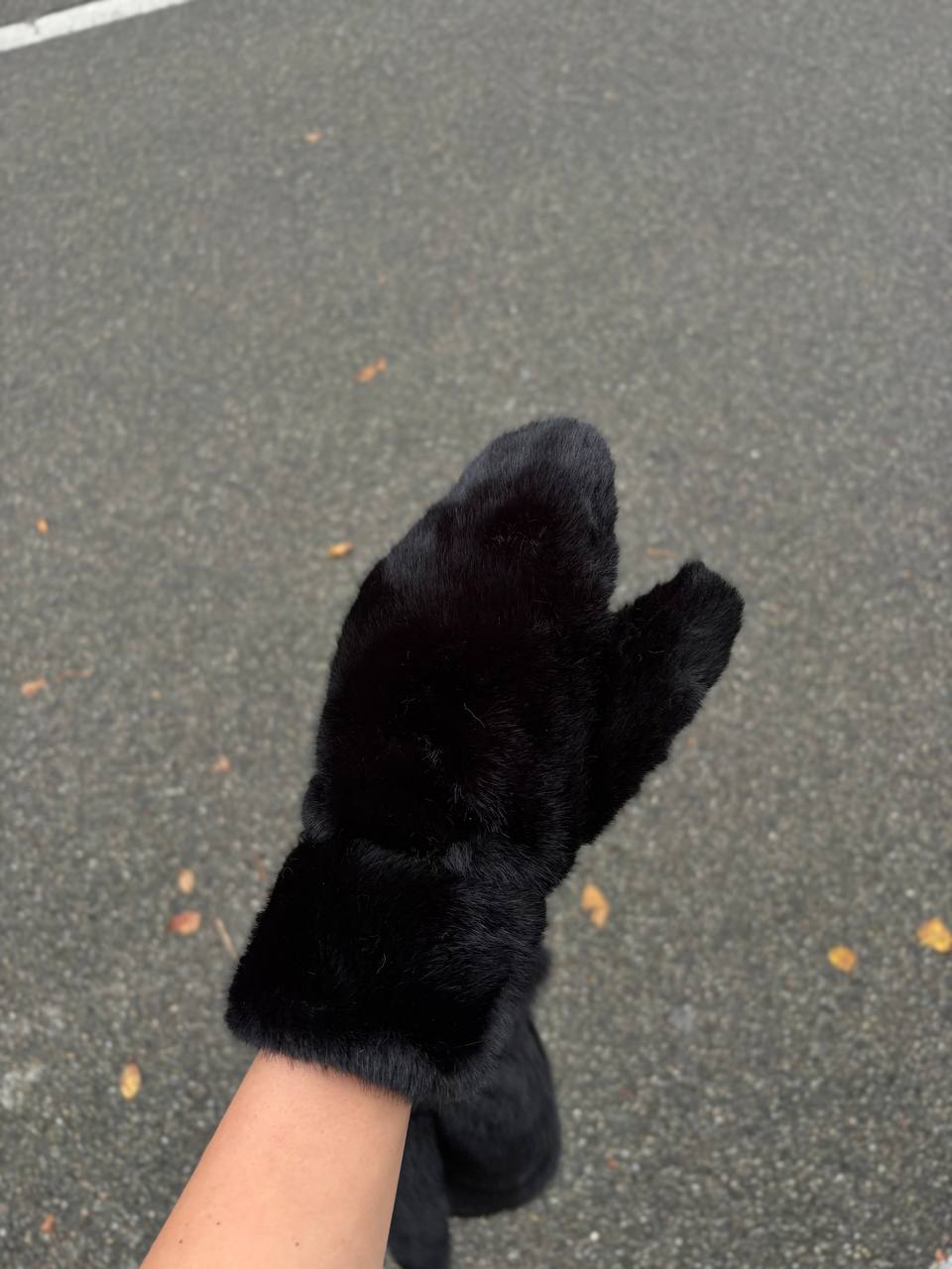 Фото Leather Country