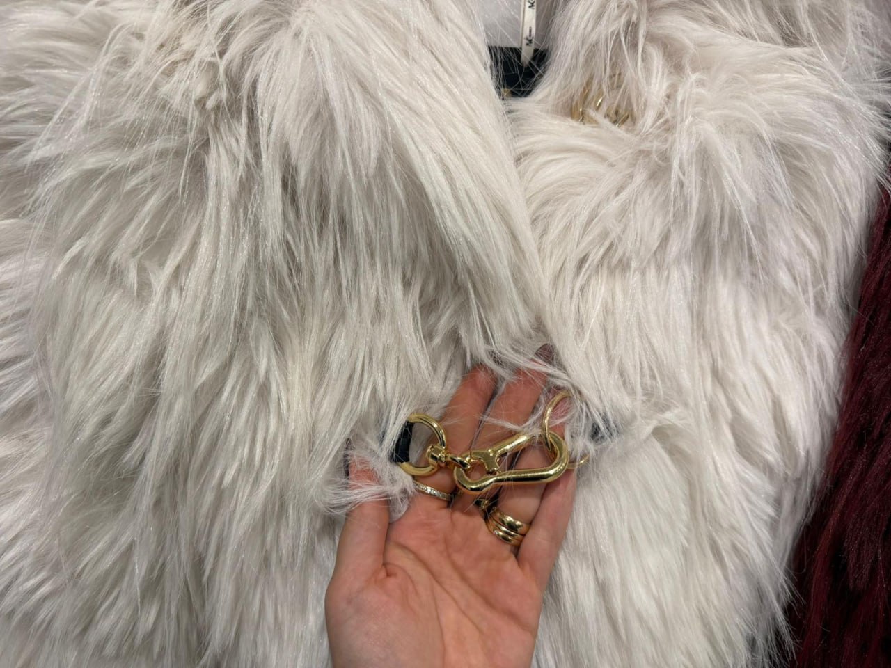 Фото Gil Santucci