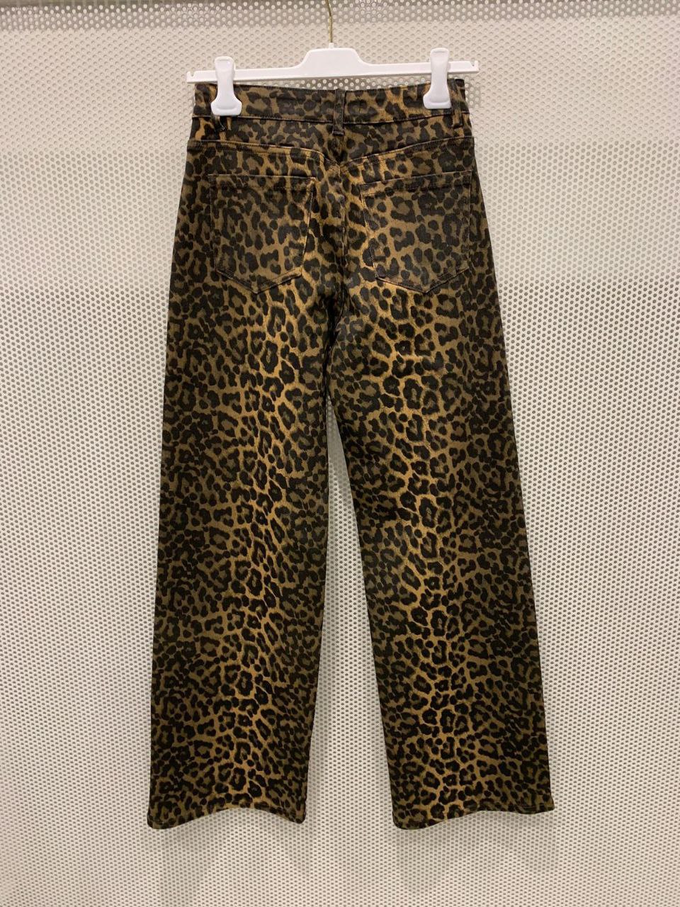 Фото Gil Santucci