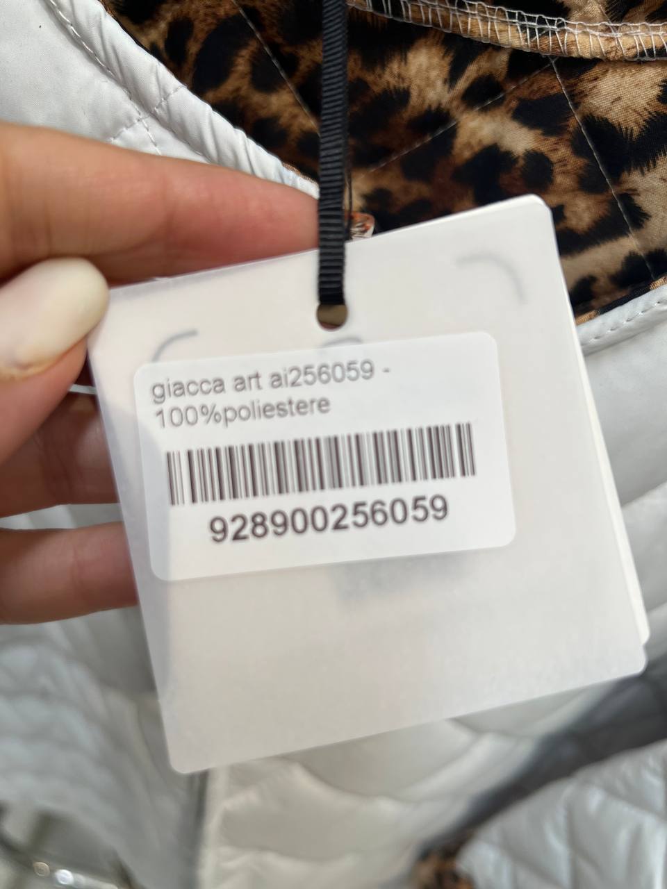 Amelie Follies (Michelle)