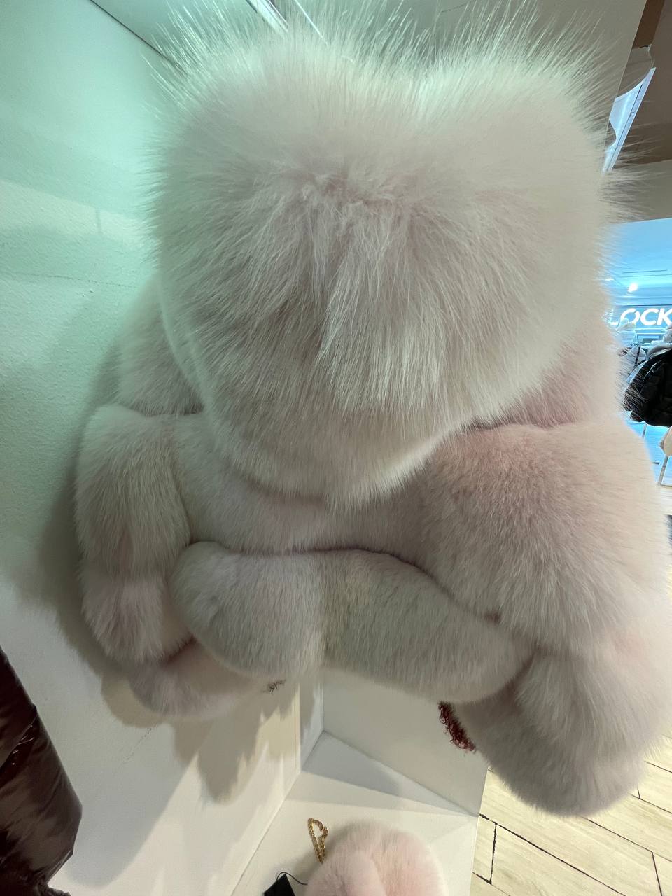 Flo Clo Фото Flo Clo