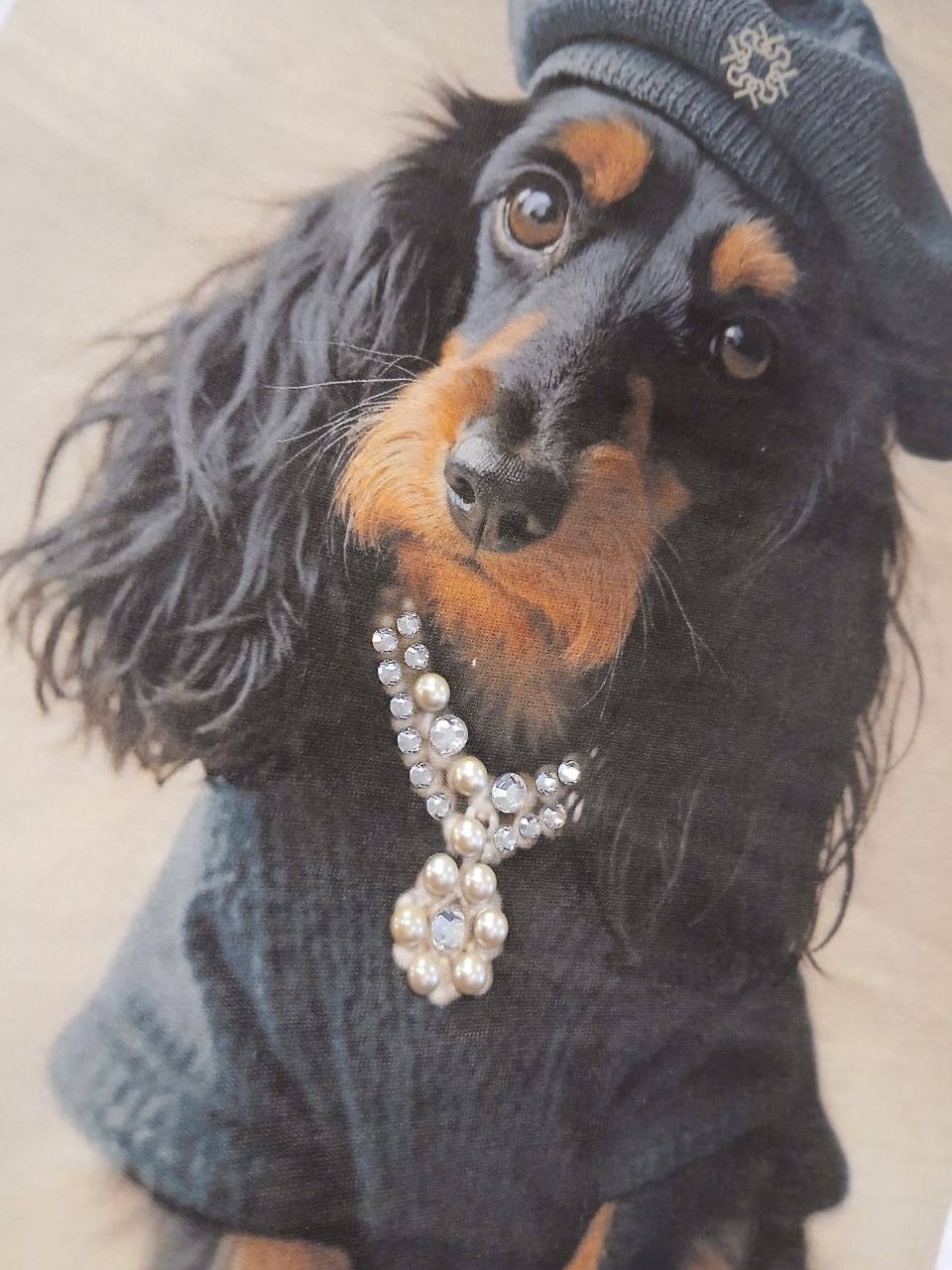 Фото Rinascimento