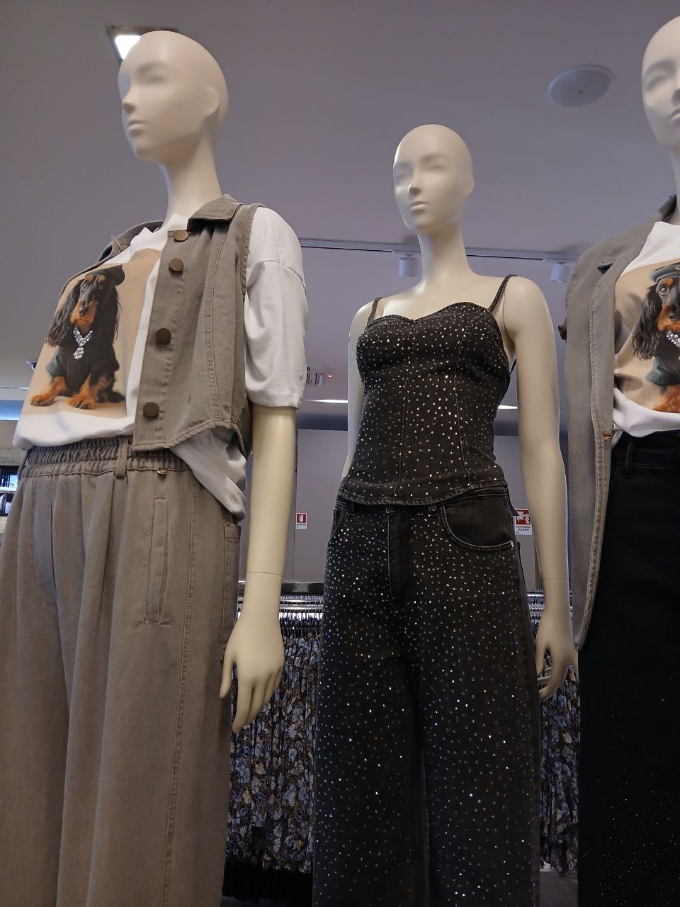 Фото Rinascimento