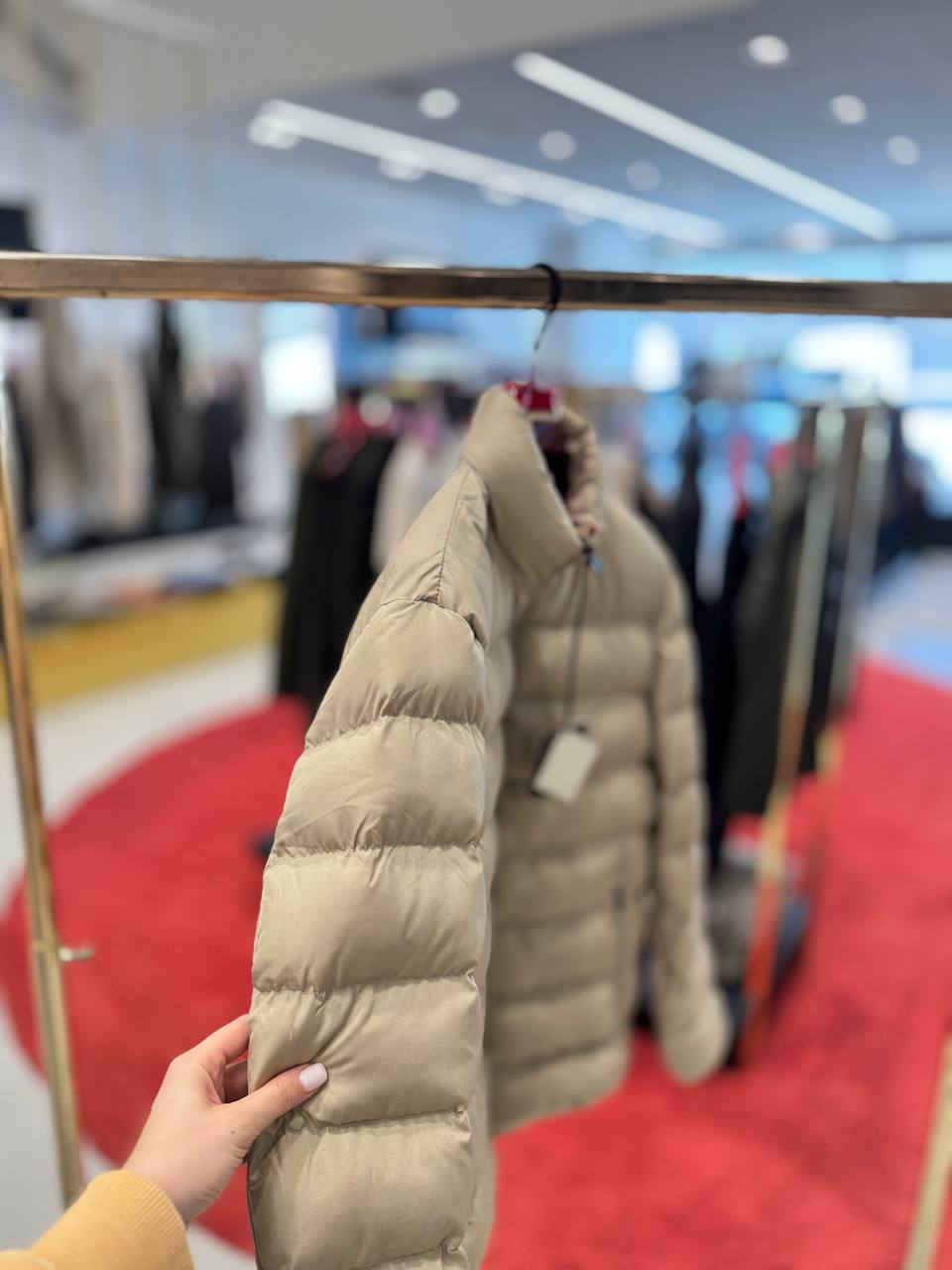 Фото Primo Emporio