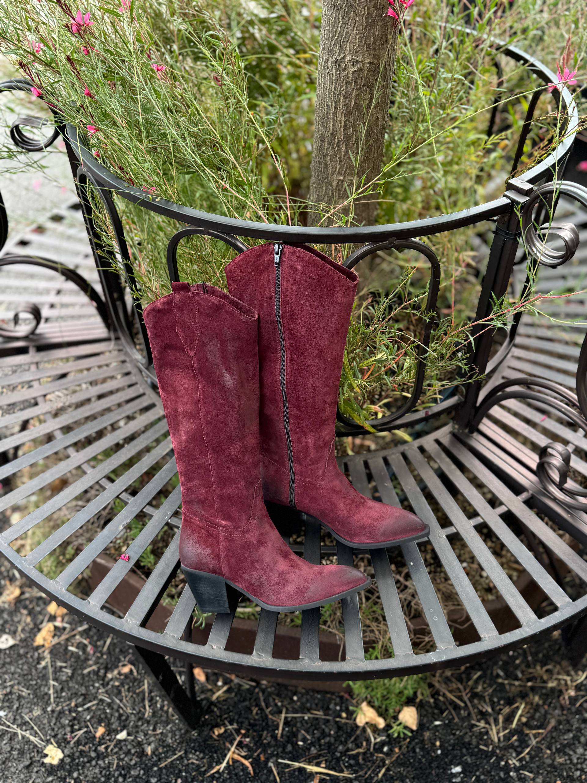 Фото Federica Lancioni