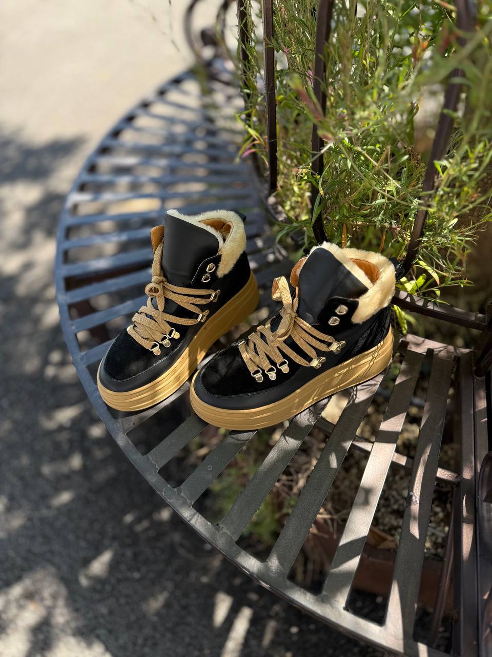 Фото Federica Lancioni