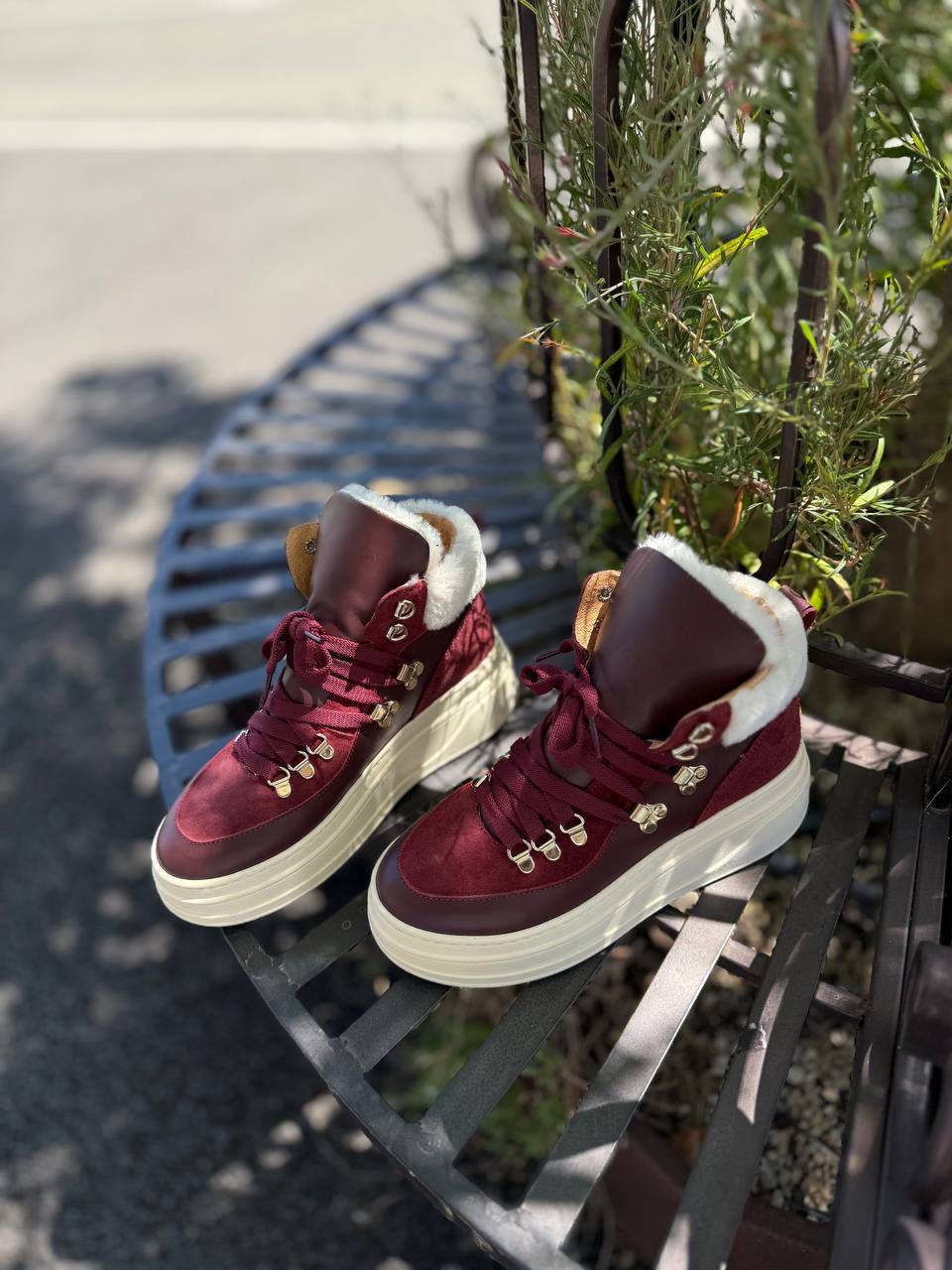 Фото Federica Lancioni