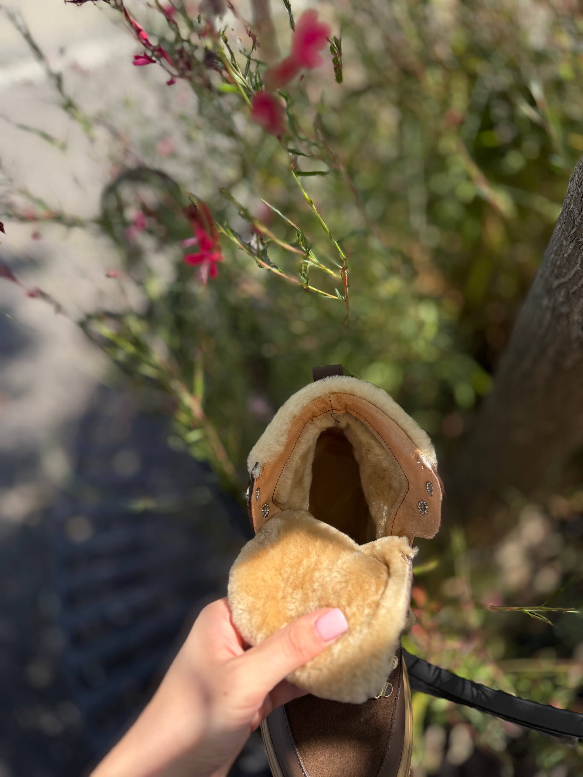 Фото Federica Lancioni