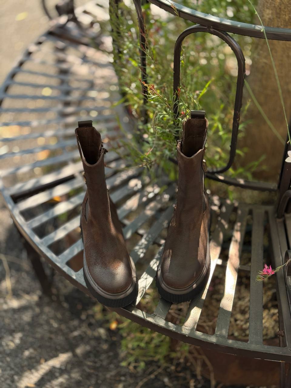 Фото Federica Lancioni