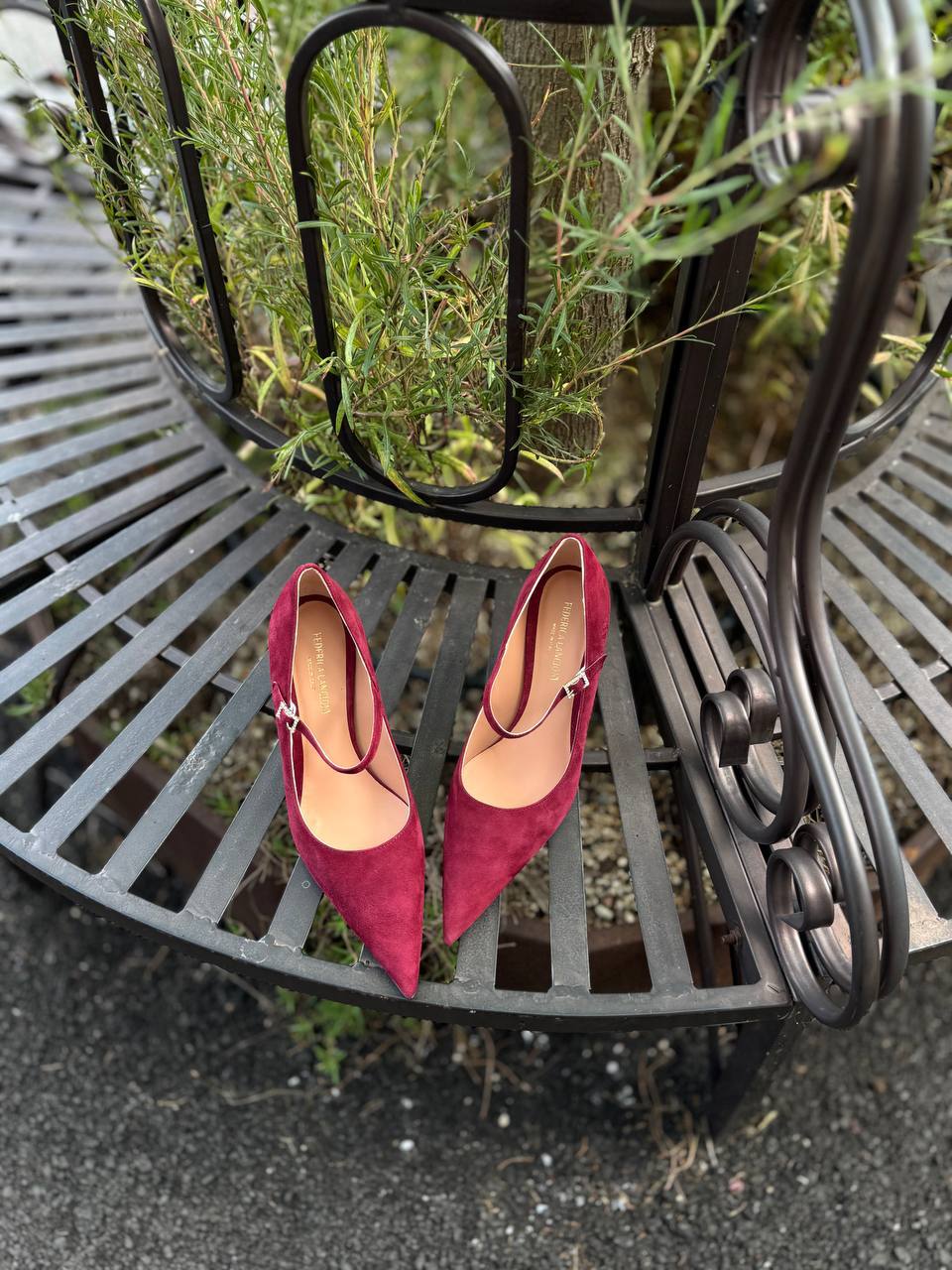 Фото Federica Lancioni