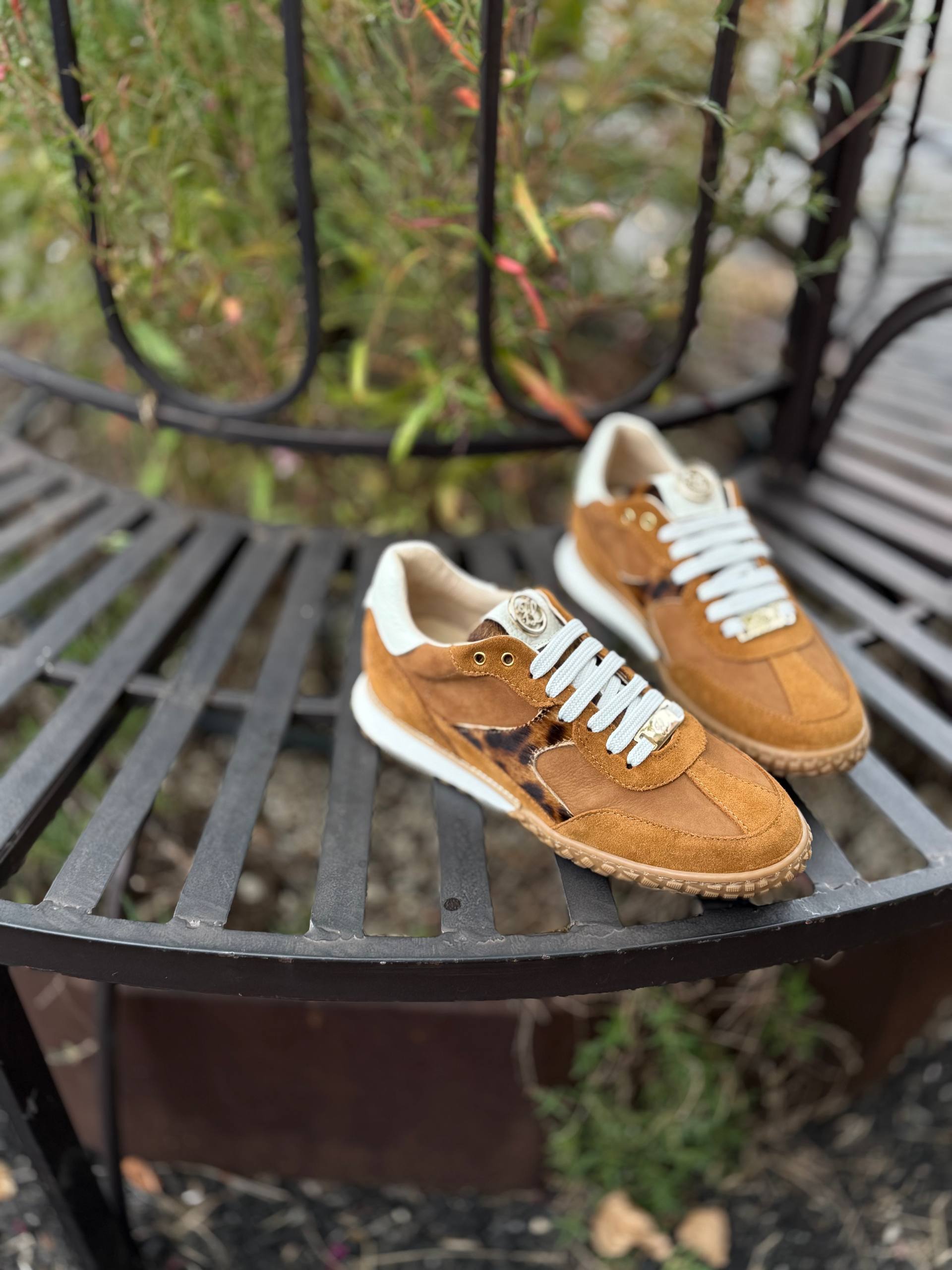 Фото Federica Lancioni