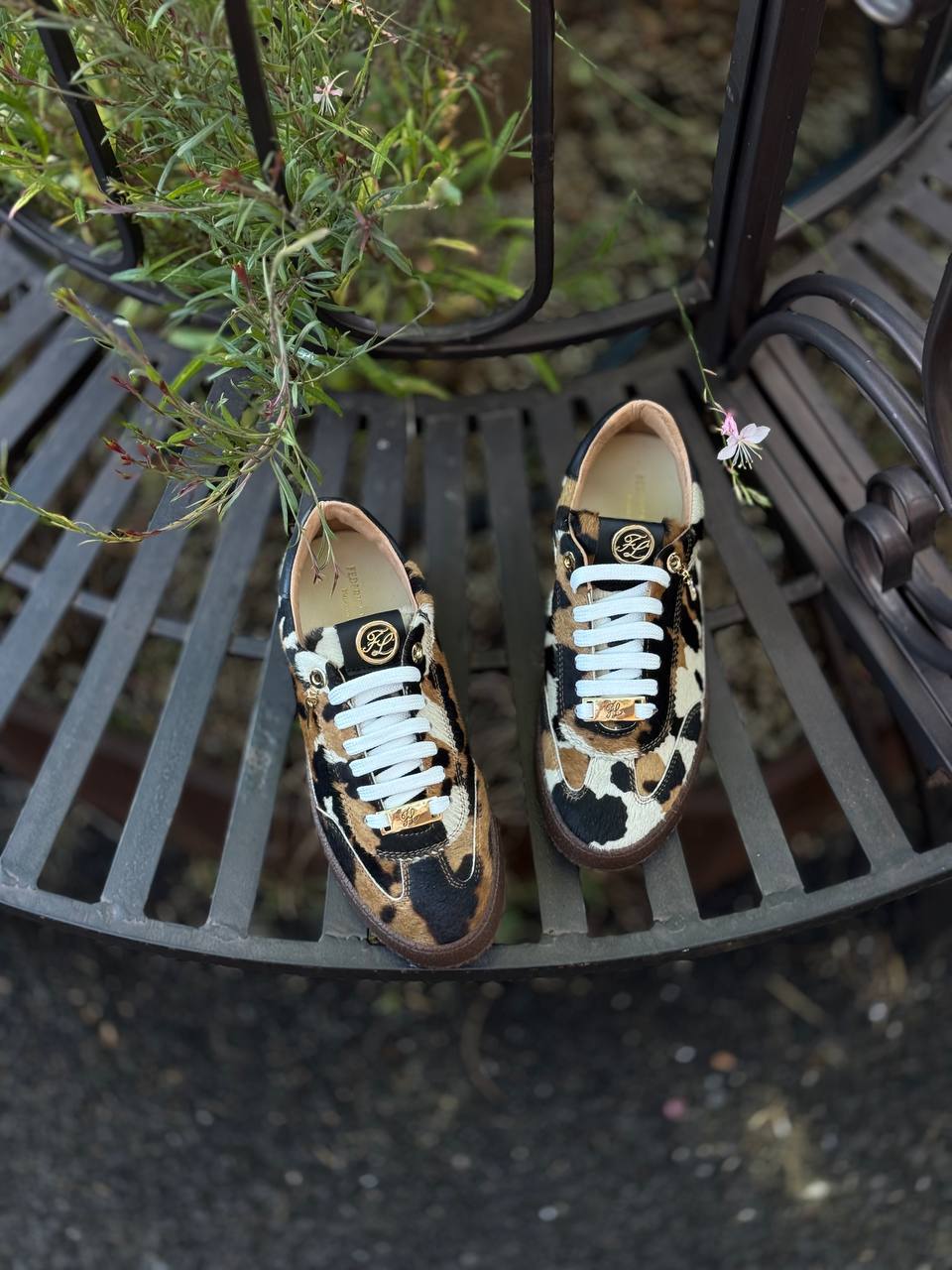 Фото Federica Lancioni