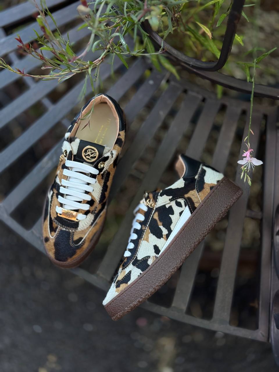 Фото Federica Lancioni