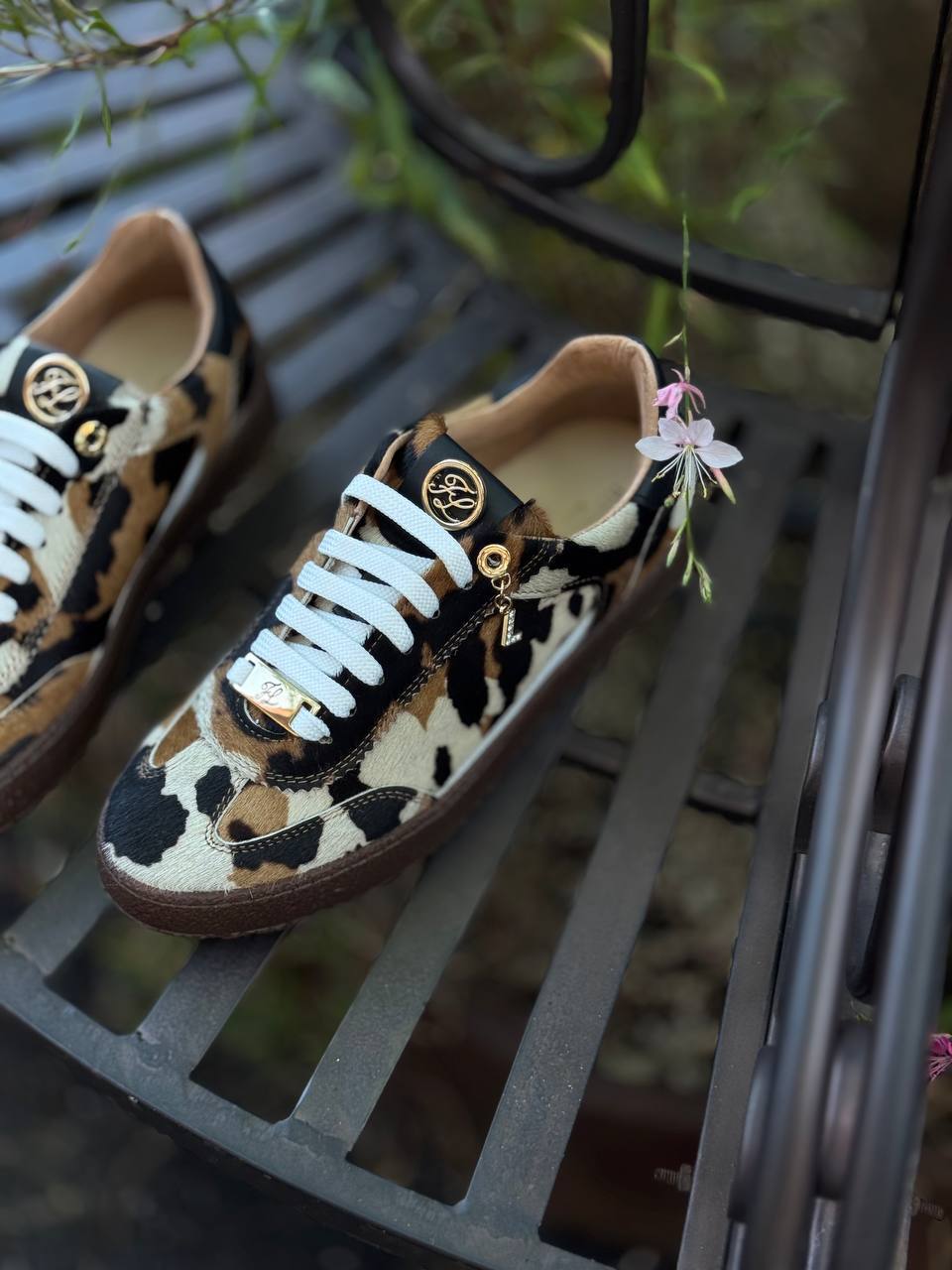 Фото Federica Lancioni