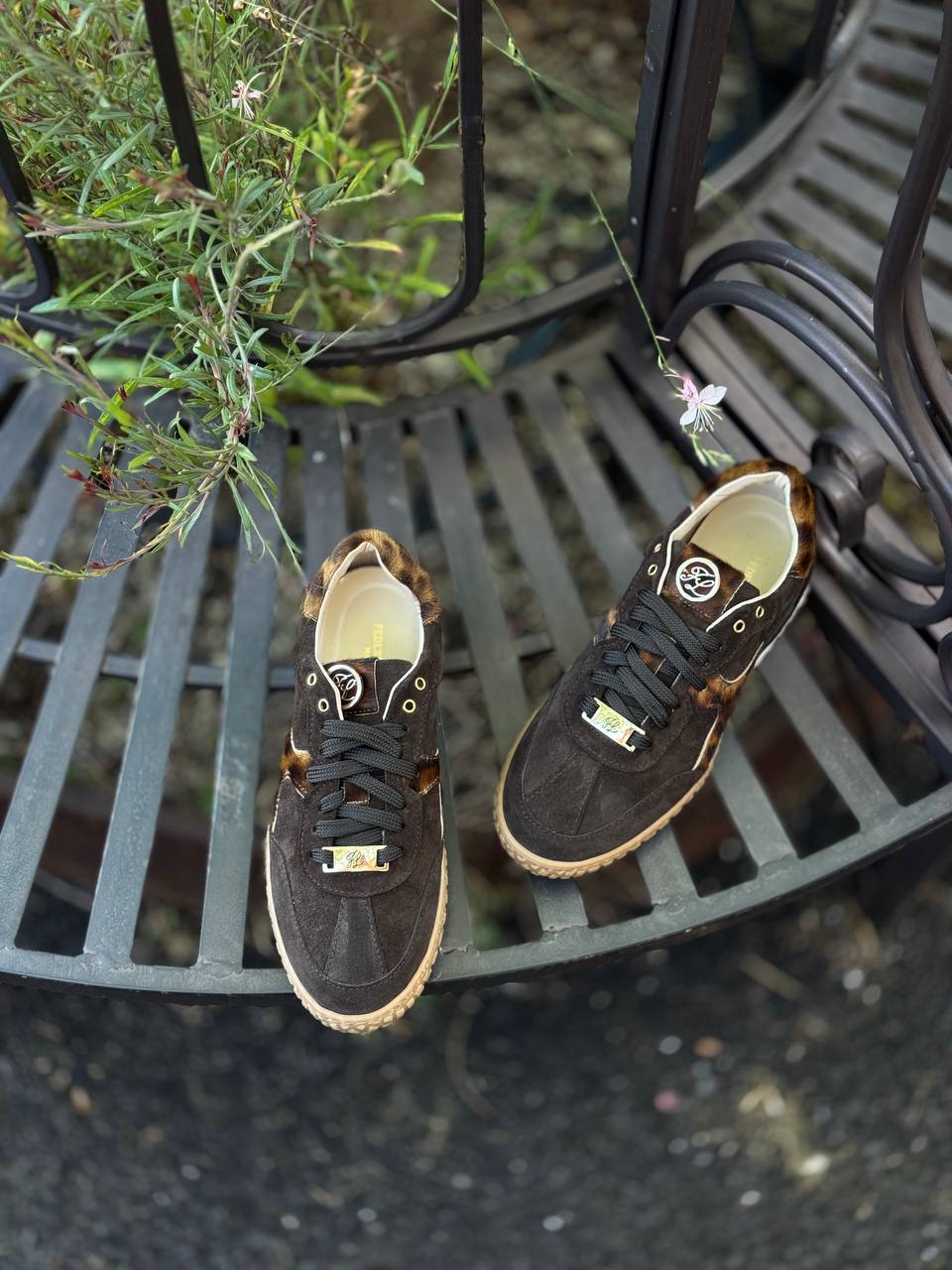 Фото Federica Lancioni