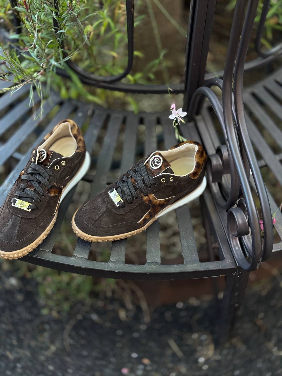 Фото Federica Lancioni