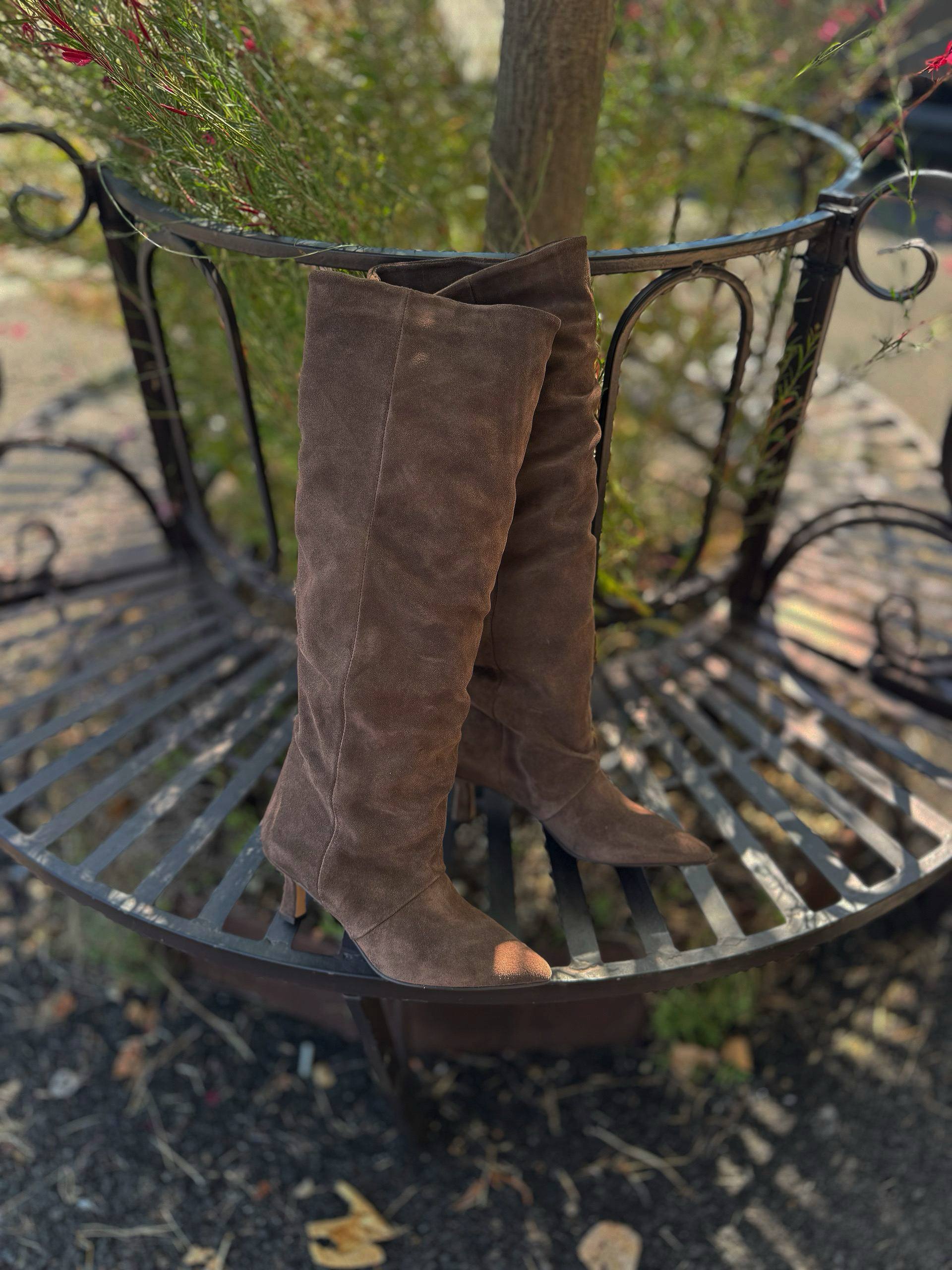 Фото Federica Lancioni