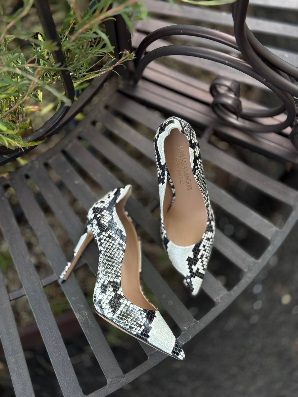 Фото Federica Lancioni