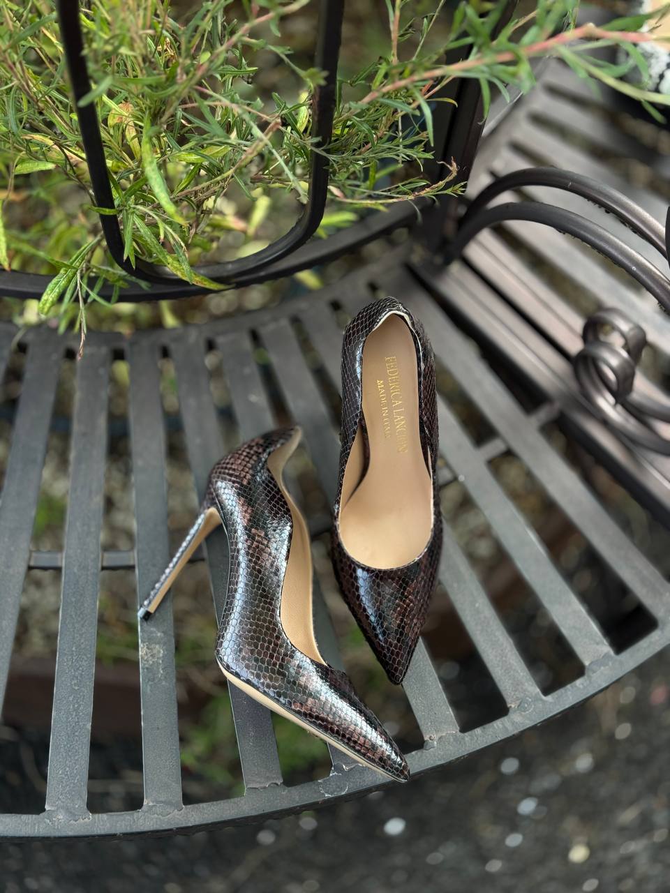 Фото Federica Lancioni