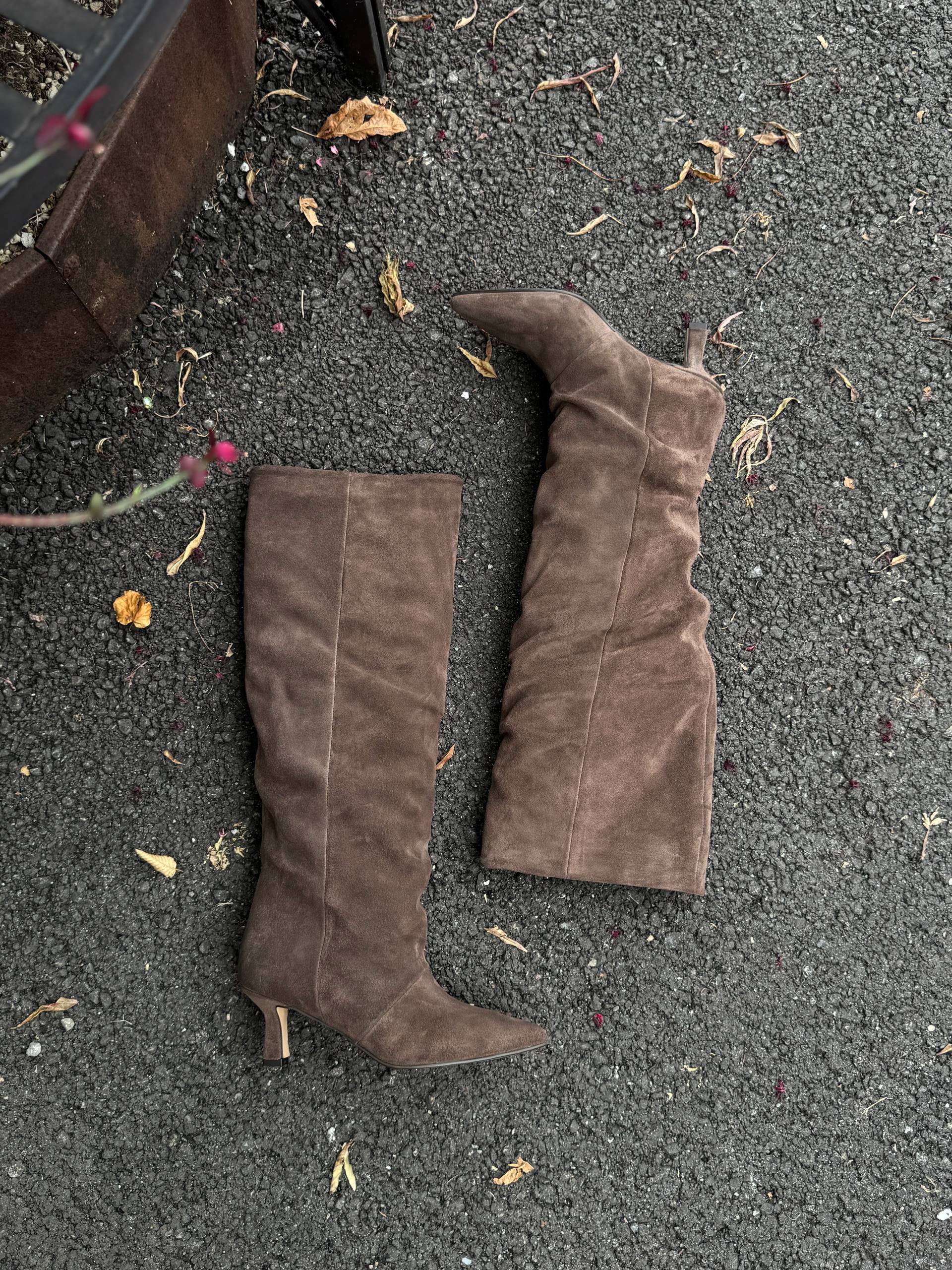 Фото Federica Lancioni