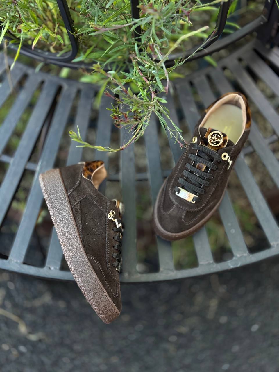 Фото Federica Lancioni