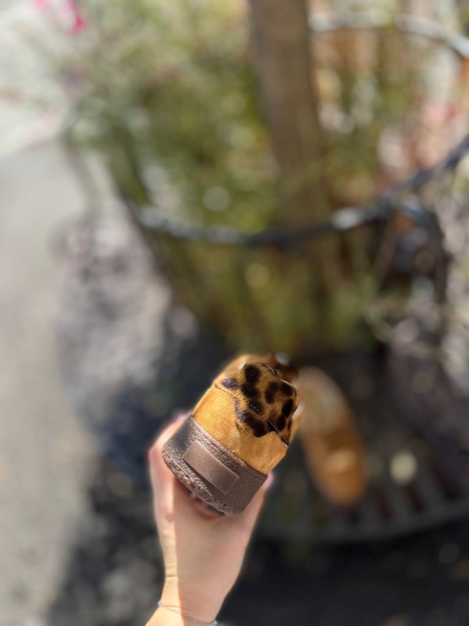 Фото Federica Lancioni