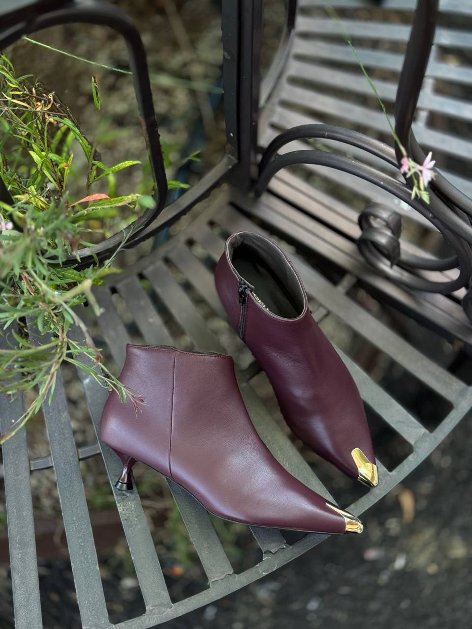 Фото Federica Lancioni