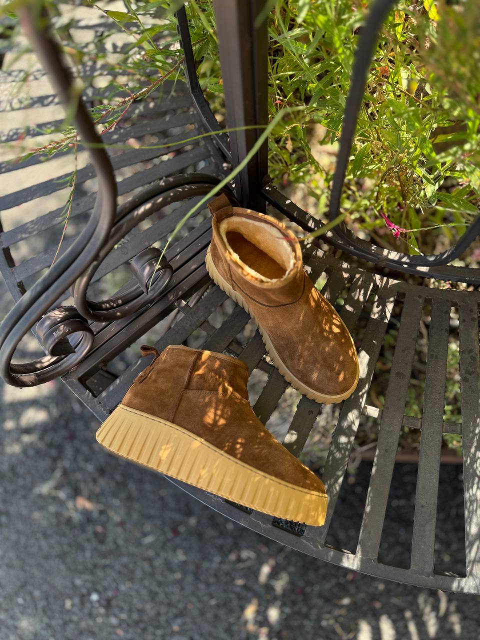 Фото Federica Lancioni