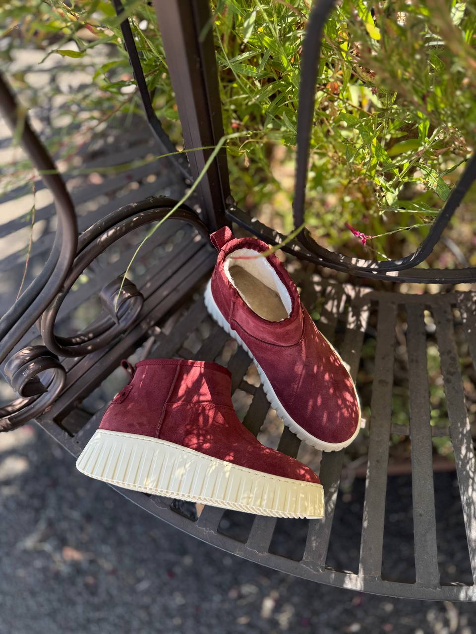 Фото Federica Lancioni