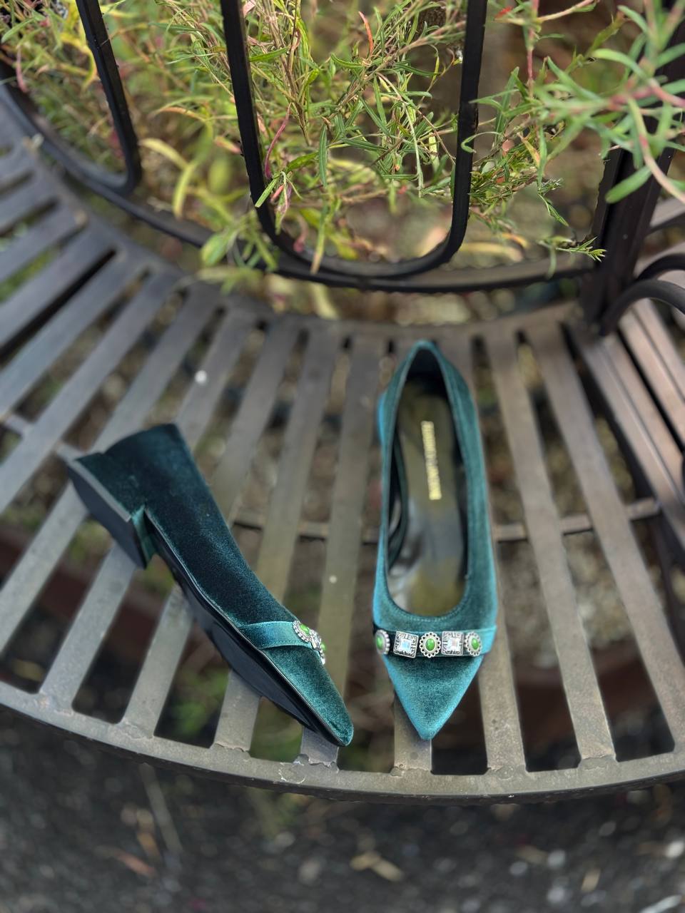 Фото Federica Lancioni