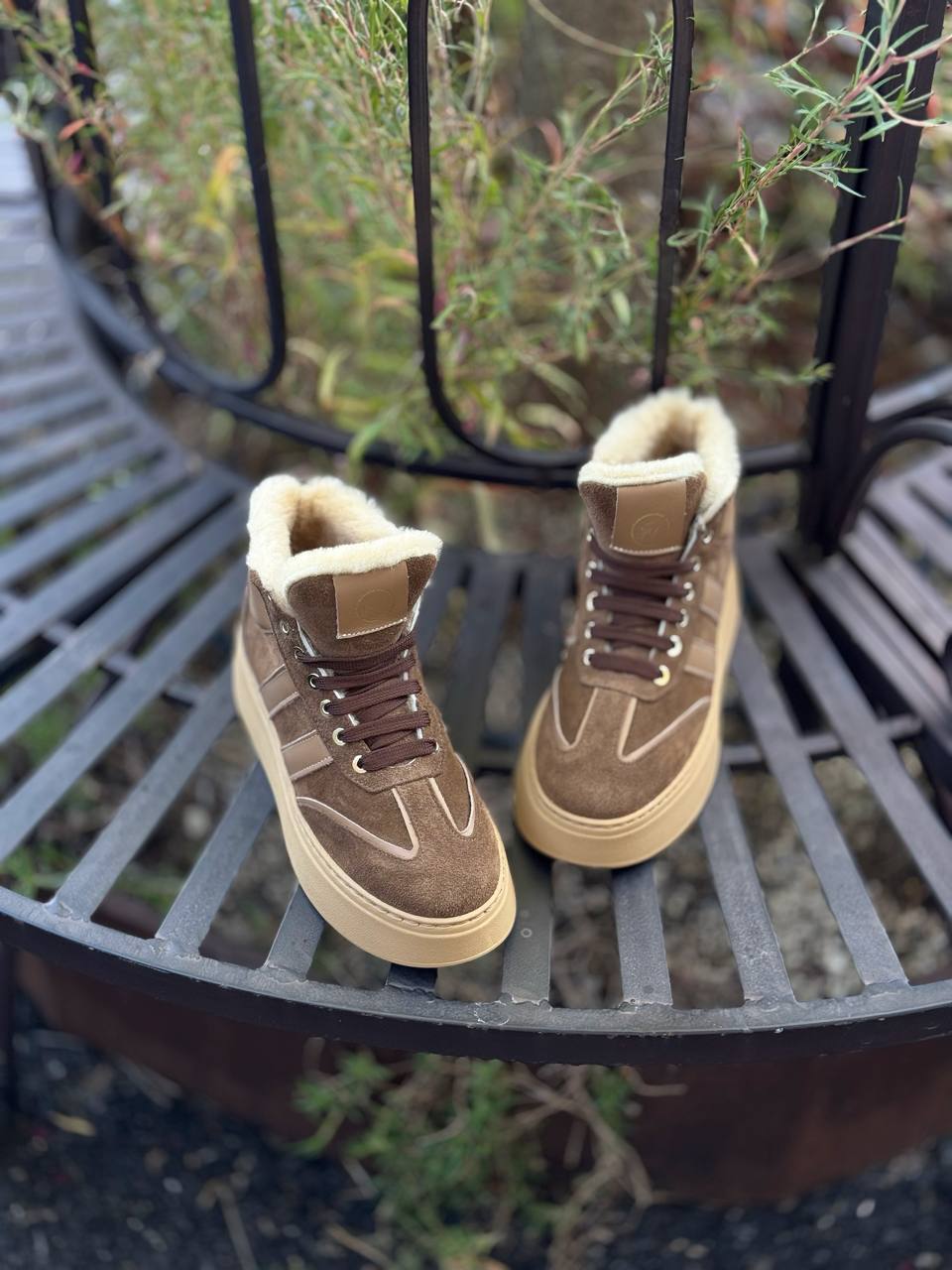 Фото Federica Lancioni