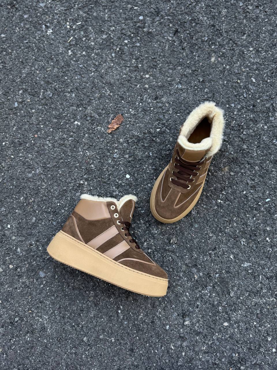 Фото Federica Lancioni