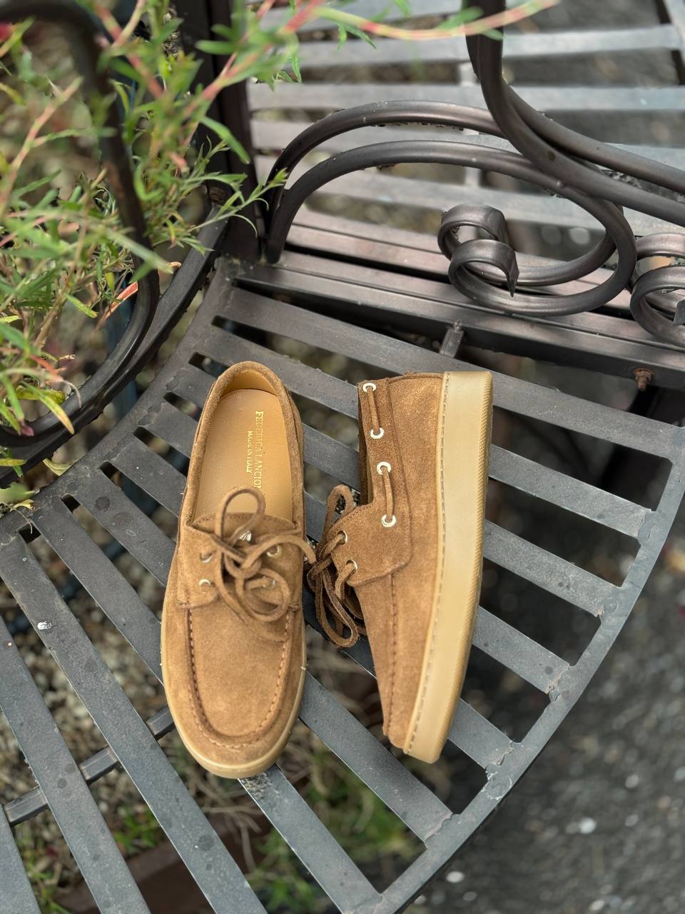 Фото Federica Lancioni