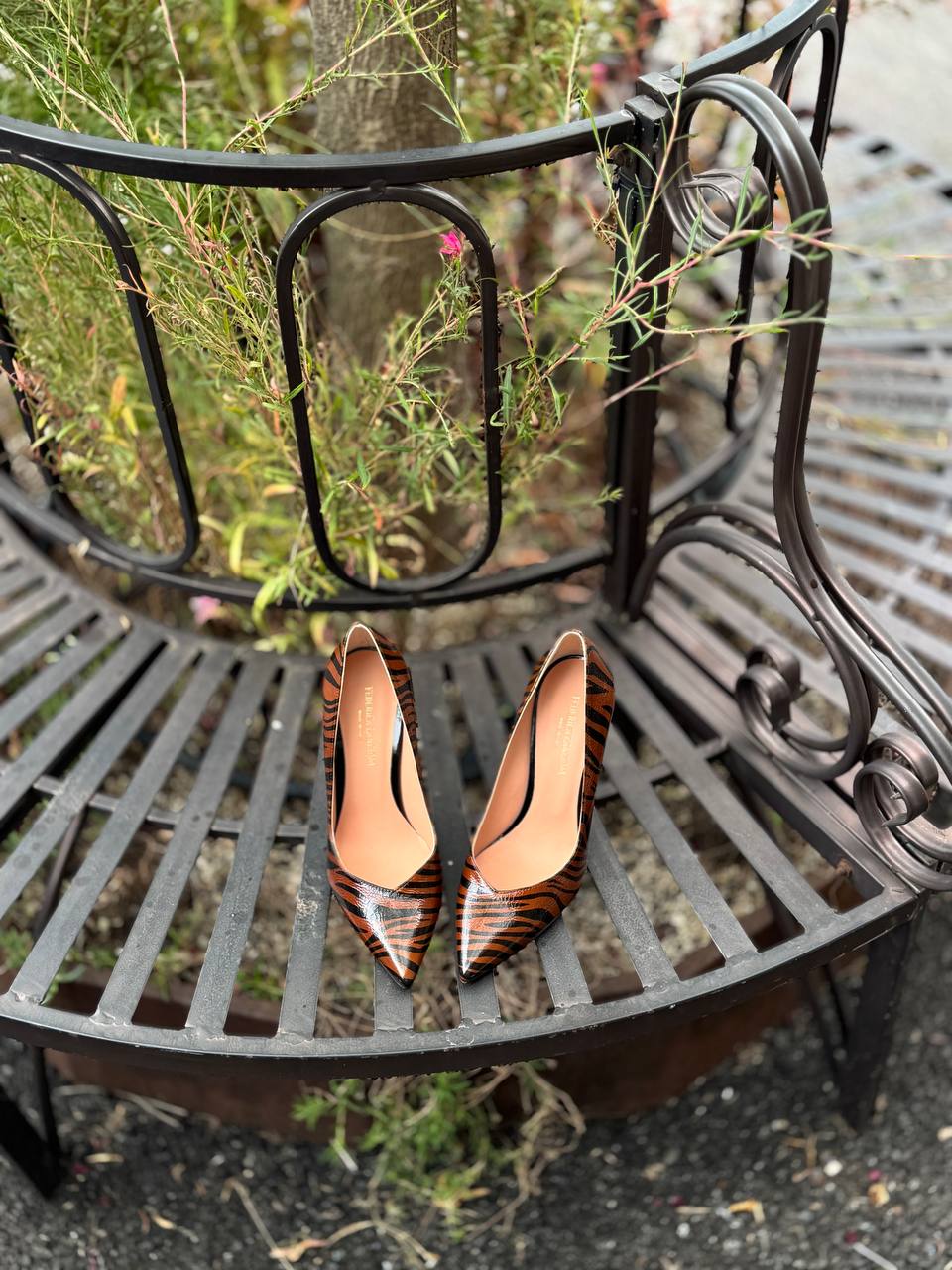 Фото Federica Lancioni