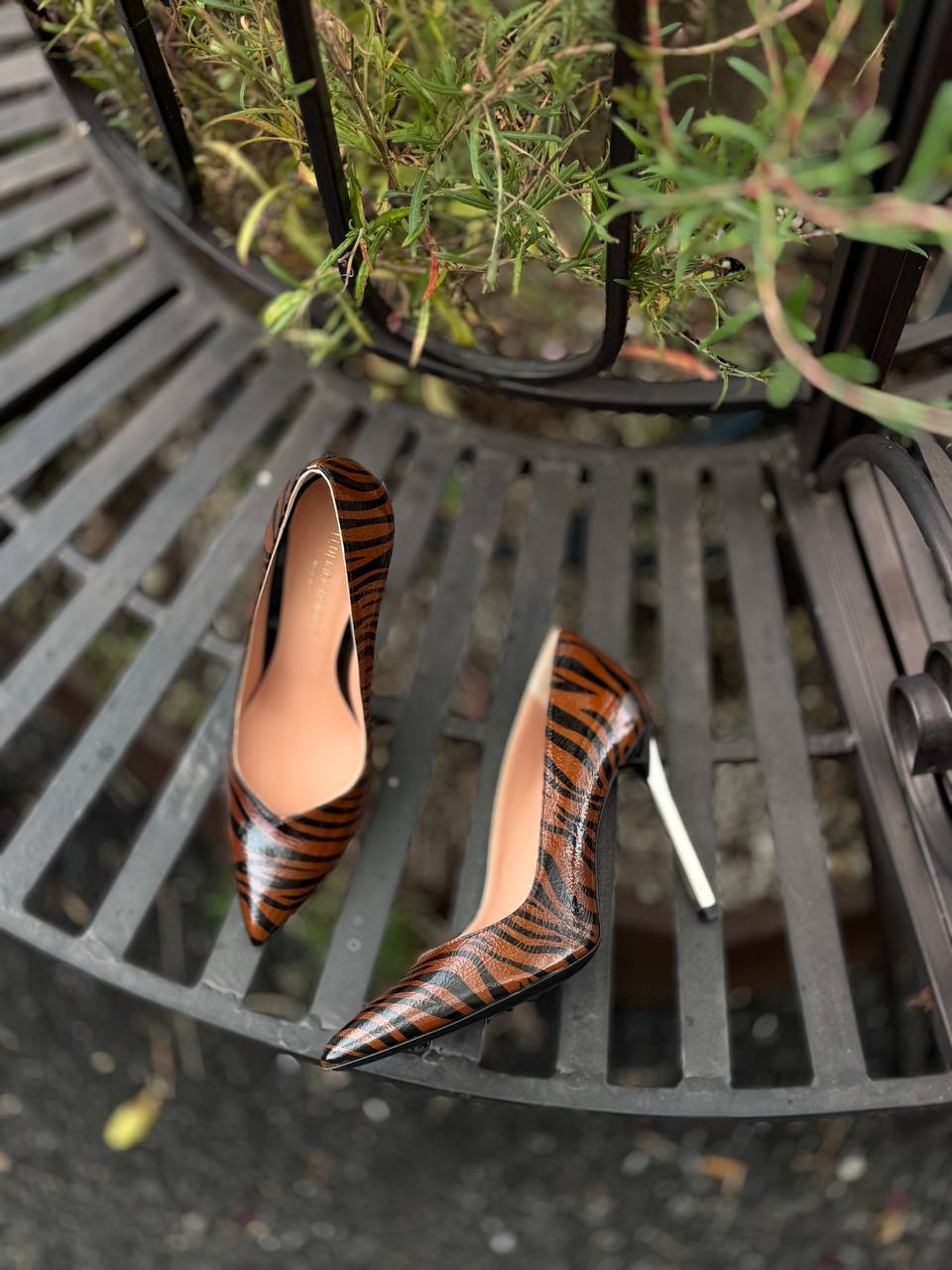 Фото Federica Lancioni