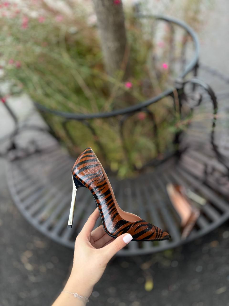 Фото Federica Lancioni