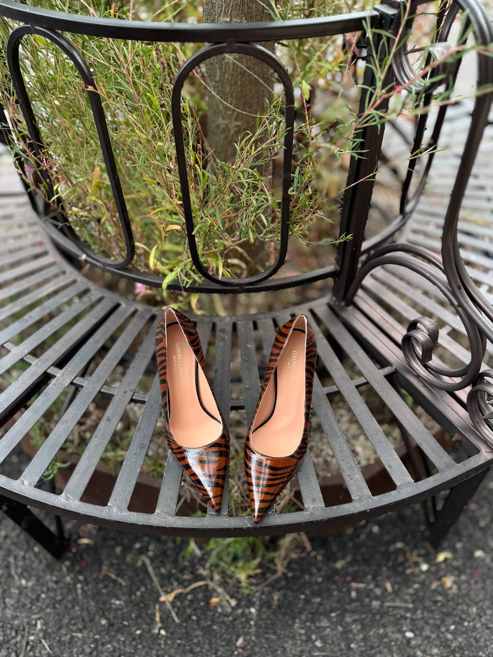 Фото Federica Lancioni