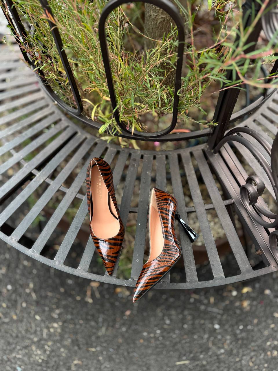 Фото Federica Lancioni